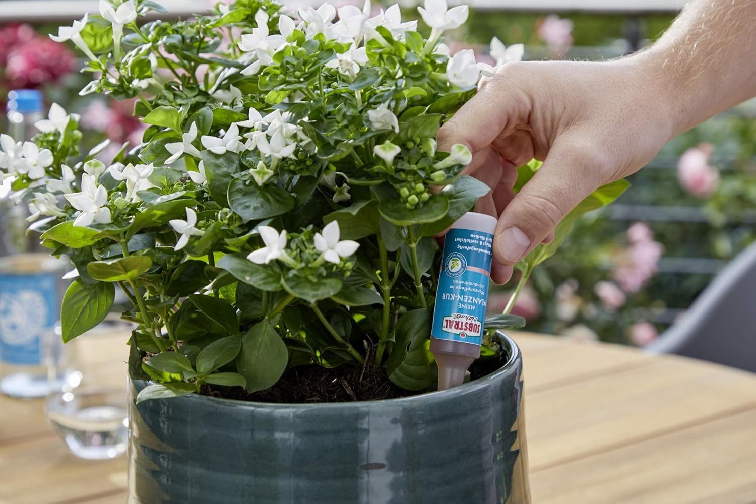 Substral Naturen Pflanzenstärkungsmittel Substral Naturen Meine Pflanzen Kur, Zimmer- und Balkonpflanzen 32 ml