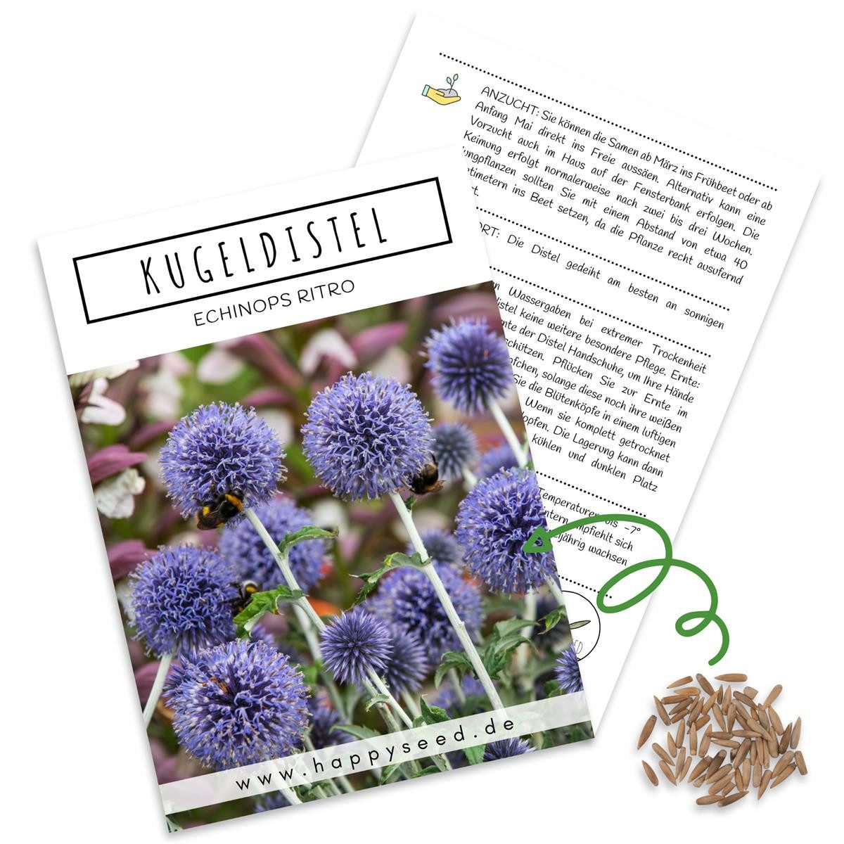 HappySeed Blumensamen Kugeldistel Samen - Echinops ritro, Blumen günstig online kaufen