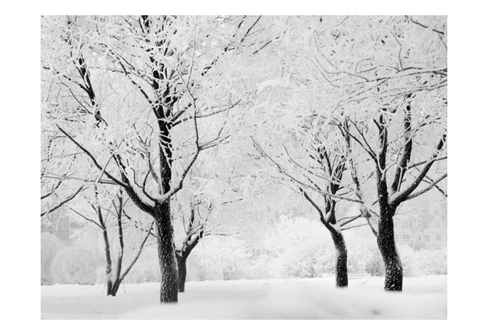 KUNSTLOFT Vliestapete Verschneite Bäume: Ein Wintermärchen m, Tapete Design 3x2.31 lichtbeständige halb-matt