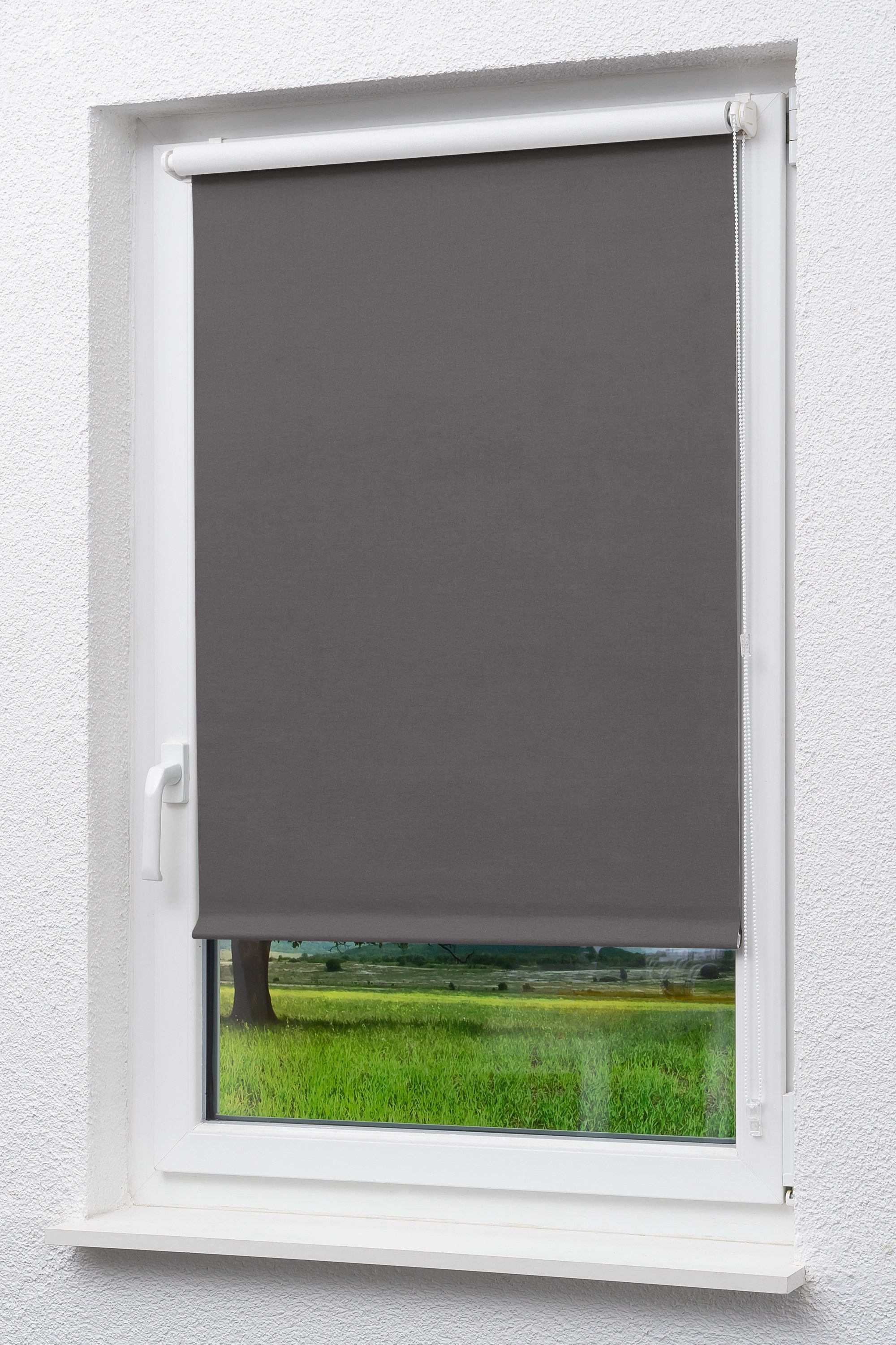 Verdunklungsrollo Mini Rollo abdunkelnd Anthrazit, LYSEL®, günstig online kaufen