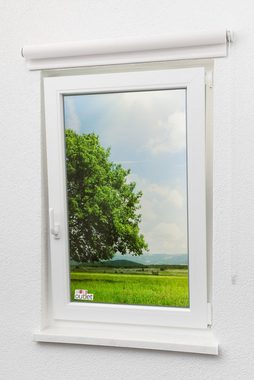 Rollo Qualitätsrollo Screen Rohweiß, LYSEL®, transparent, HxB 190x63cm