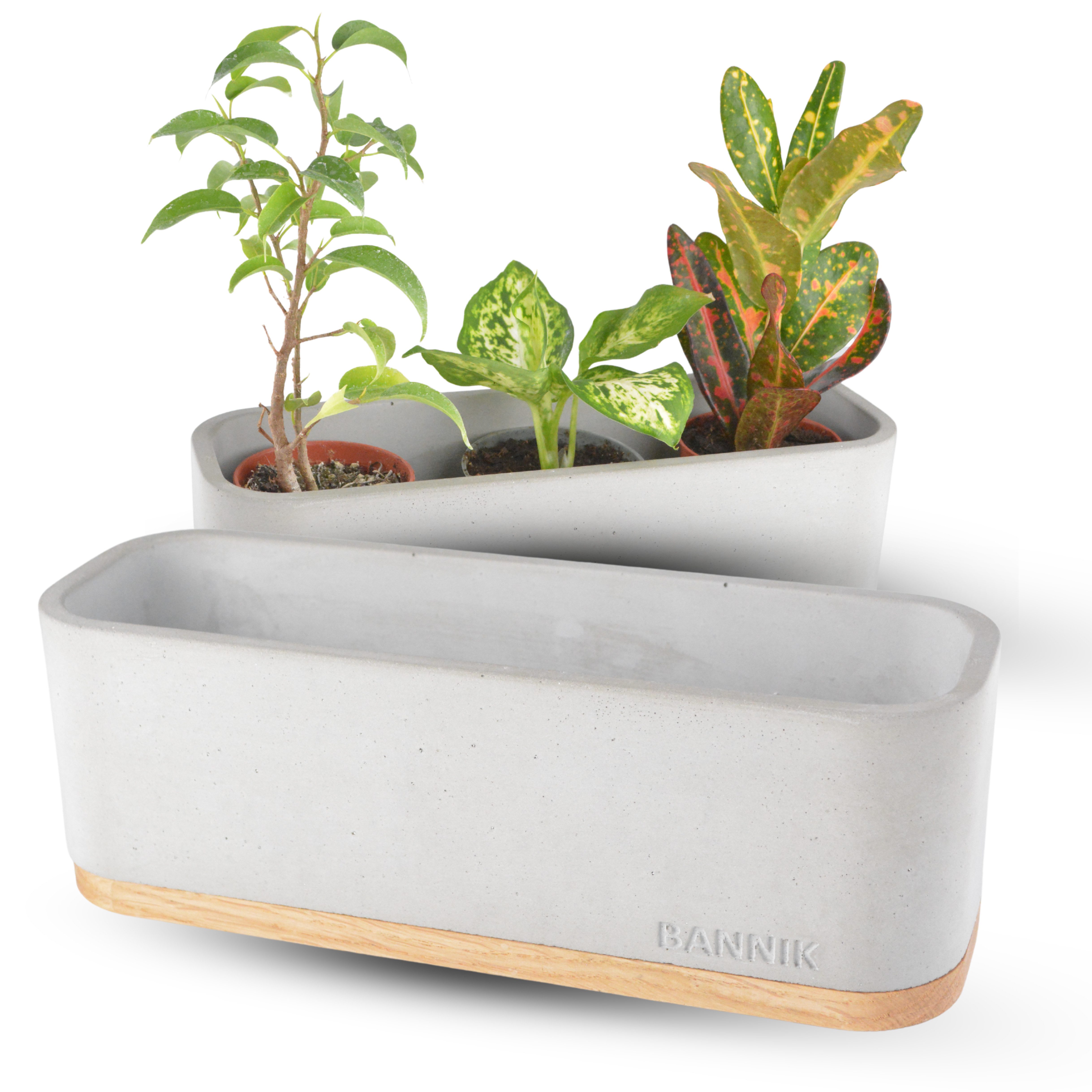 Bannik Blumentopf aus Beton und Holz günstig online kaufen