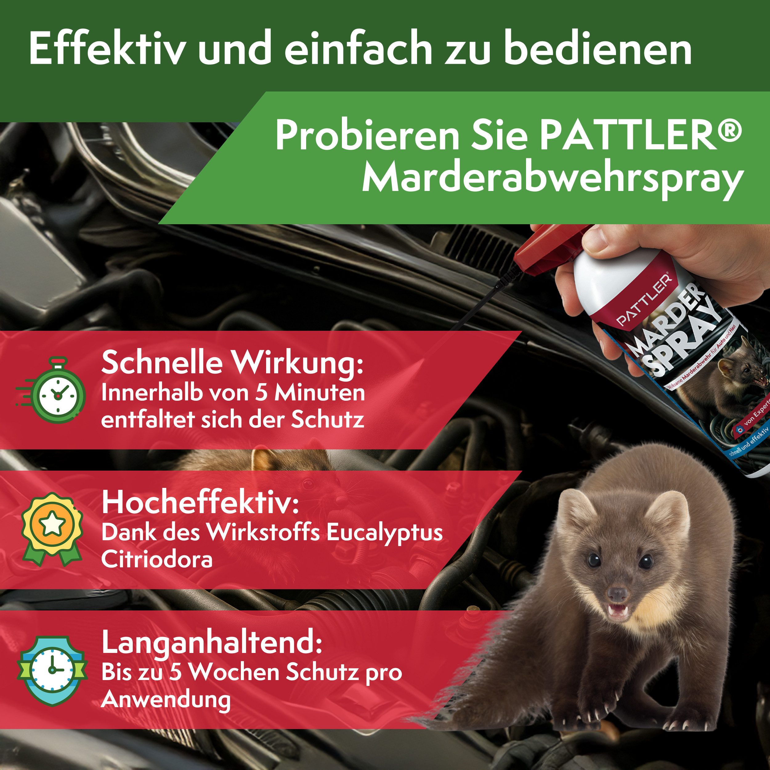 Pattler Marderspray Hochwirksam mit Sofortwirkung, 400 ml, 400 ml – Bild 2 von 5