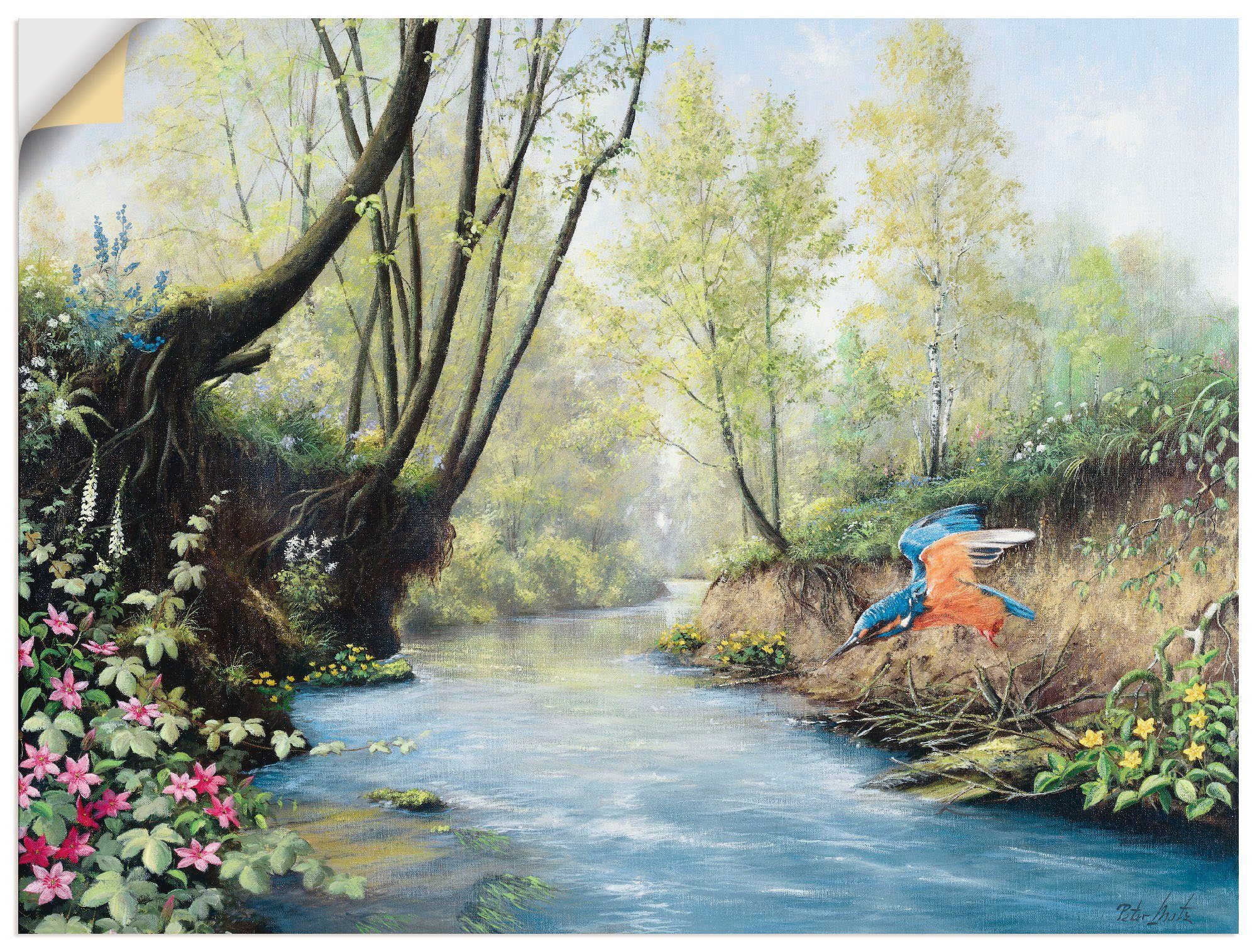 versch. St), (1 in III, Wandaufkleber oder Gewässer Größen Eisvogel Artland Leinwandbild, Wandbild als Poster