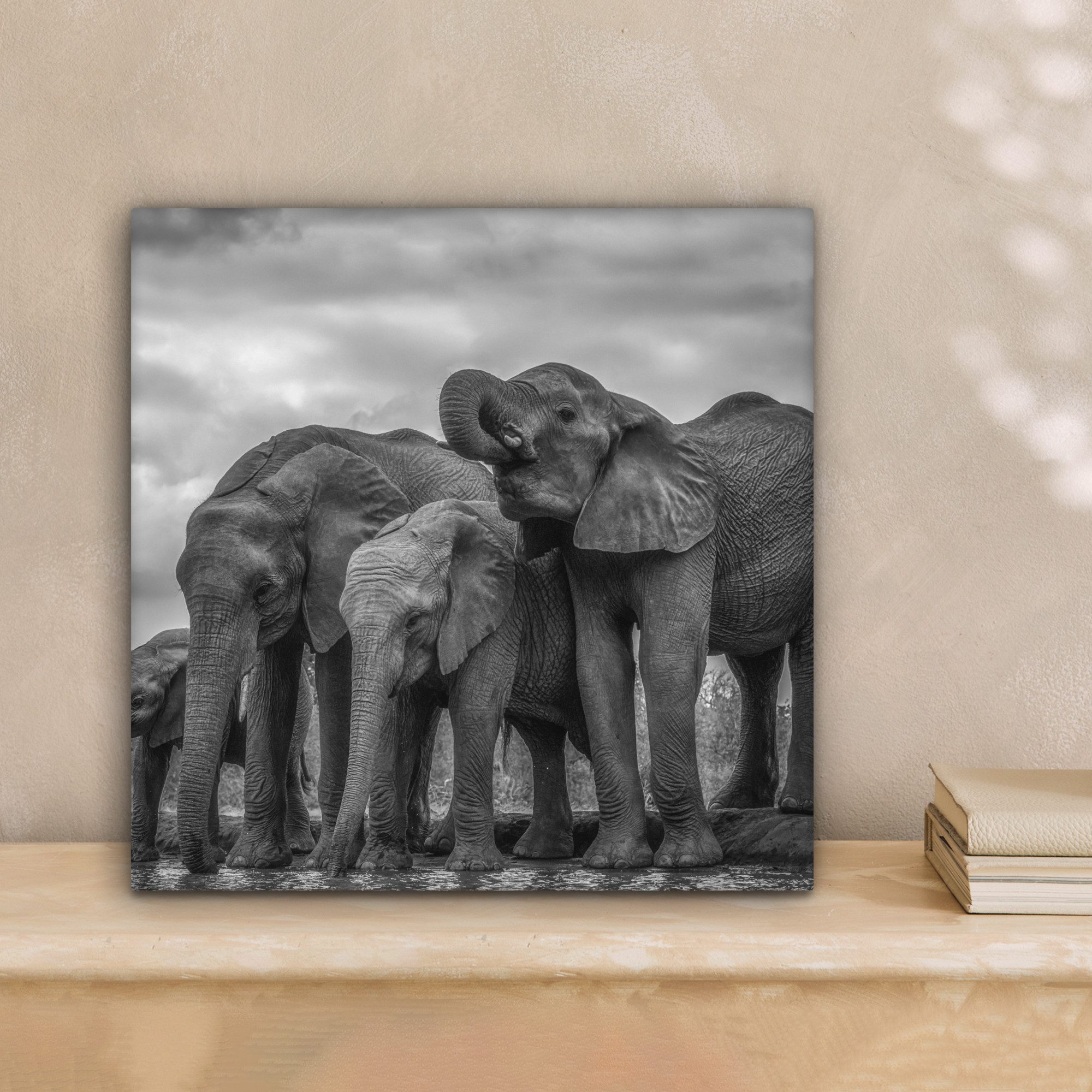 OneMillionCanvasses® Leinwandbild Elefant - Tiere - günstig online kaufen