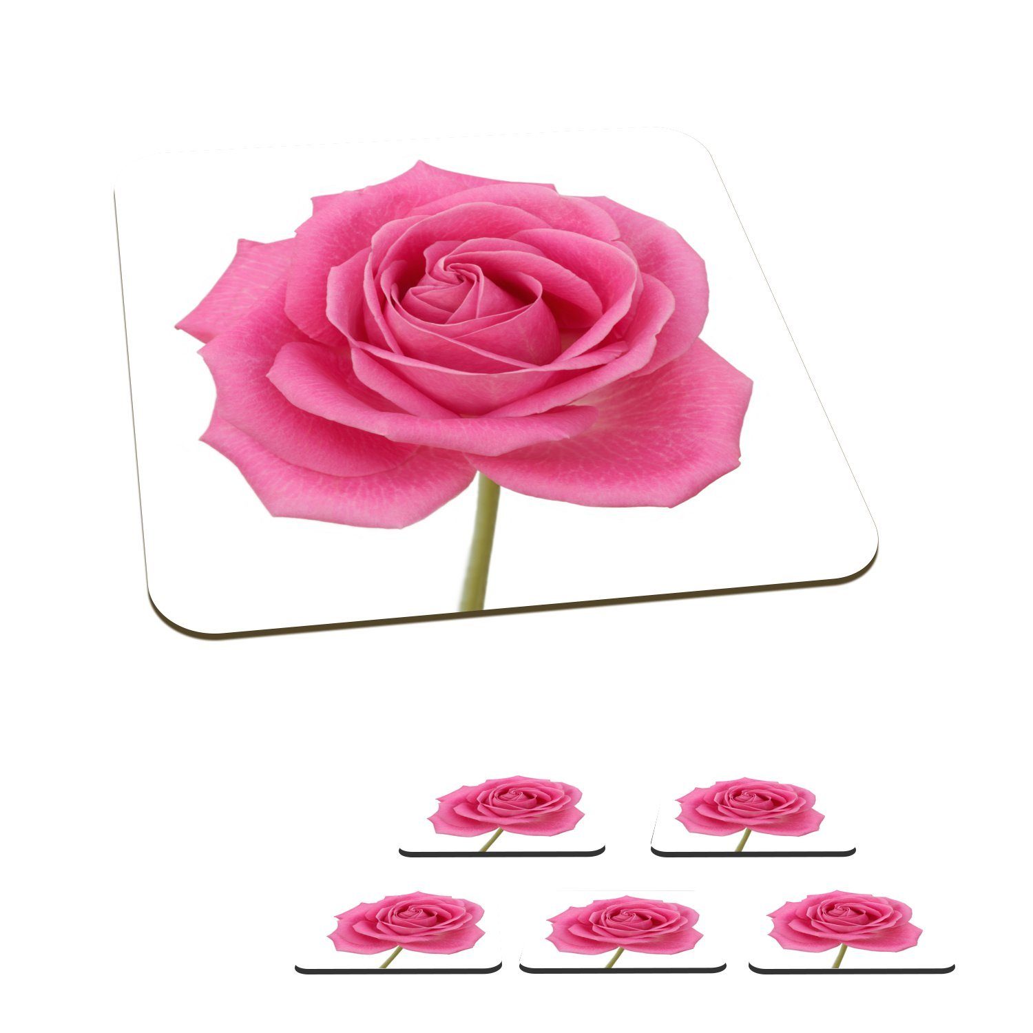 MuchoWow Glasuntersetzer Nahaufnahme einer einzelnen rosa Rose auf weißem Hintergrund, Zubehör für Gläser, 6-tlg., Glasuntersetzer, Tischuntersetzer, Korkuntersetzer, Untersetzer, Tasse