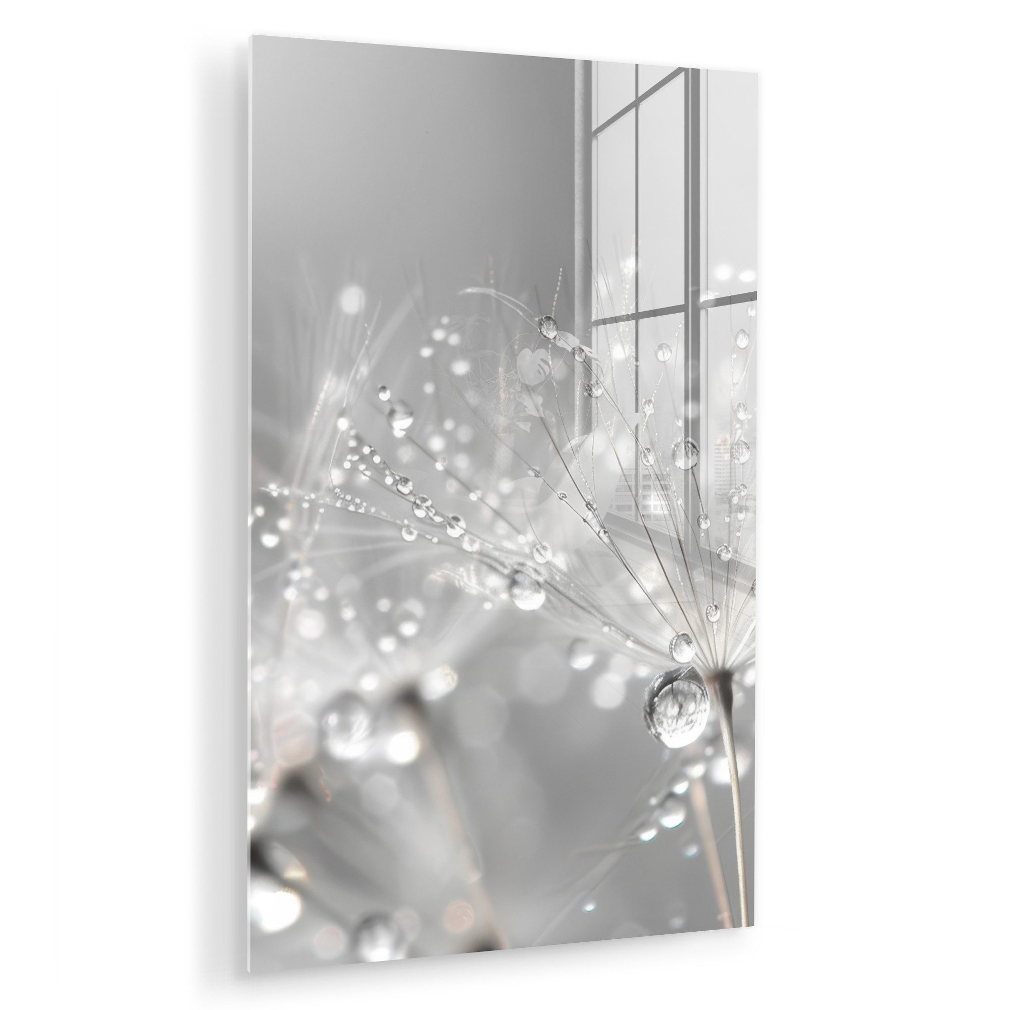 MuchoWow Acrylglasbild Löwenzahn - Wassertropfen - Stilleben - Modern, Inkl günstig online kaufen