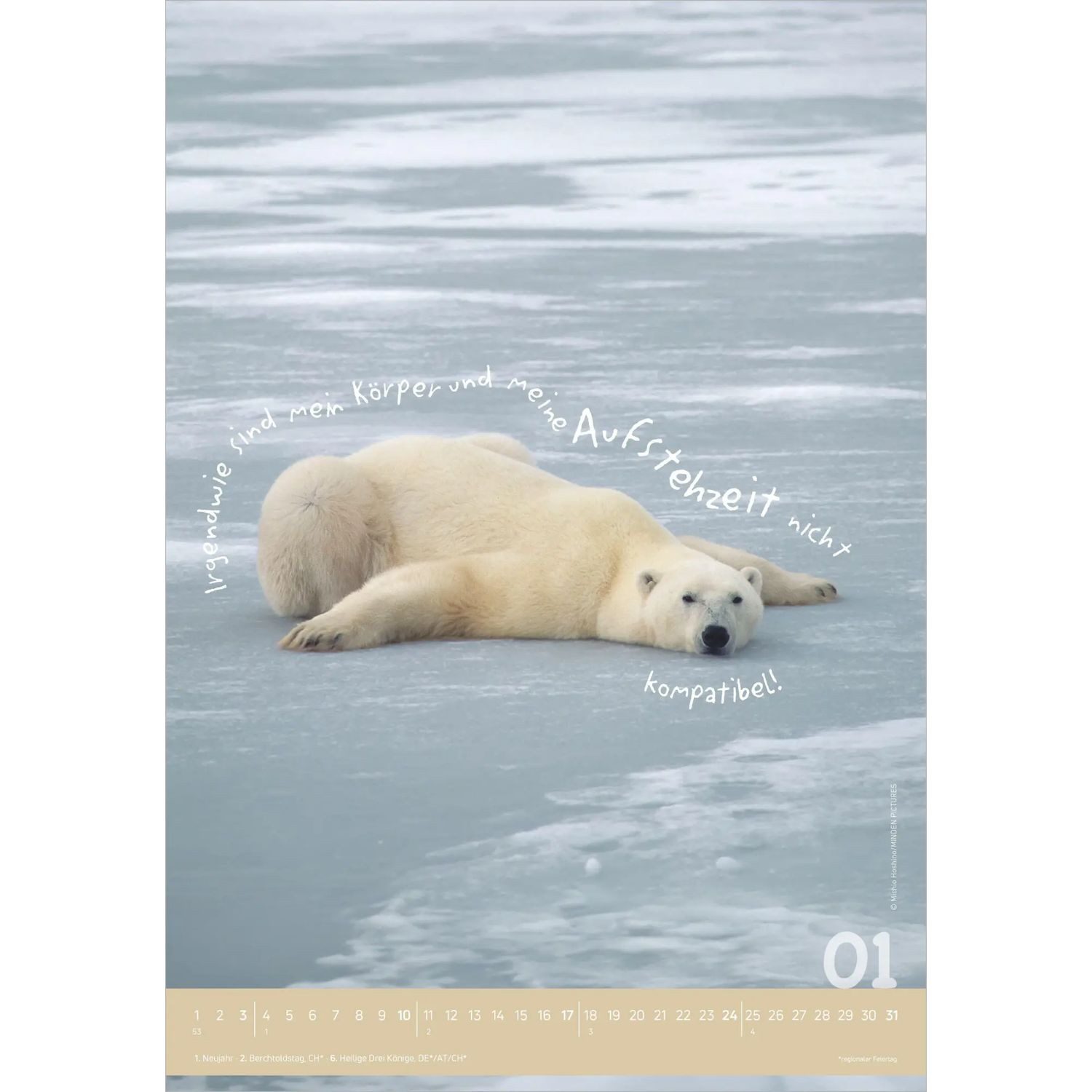 NEUMANN Wandkalender Tierisch cool! 2027