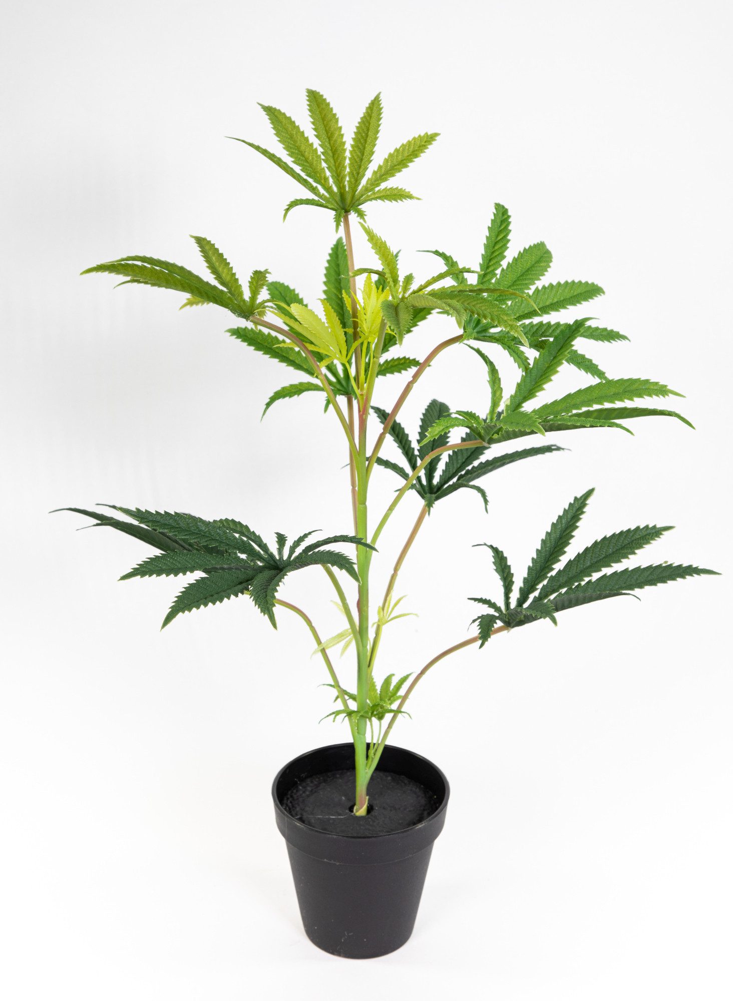 Kunstpflanze Hanfpflanze / Cannabispflanze 50cm im Topf DP künstlicher Cann günstig online kaufen