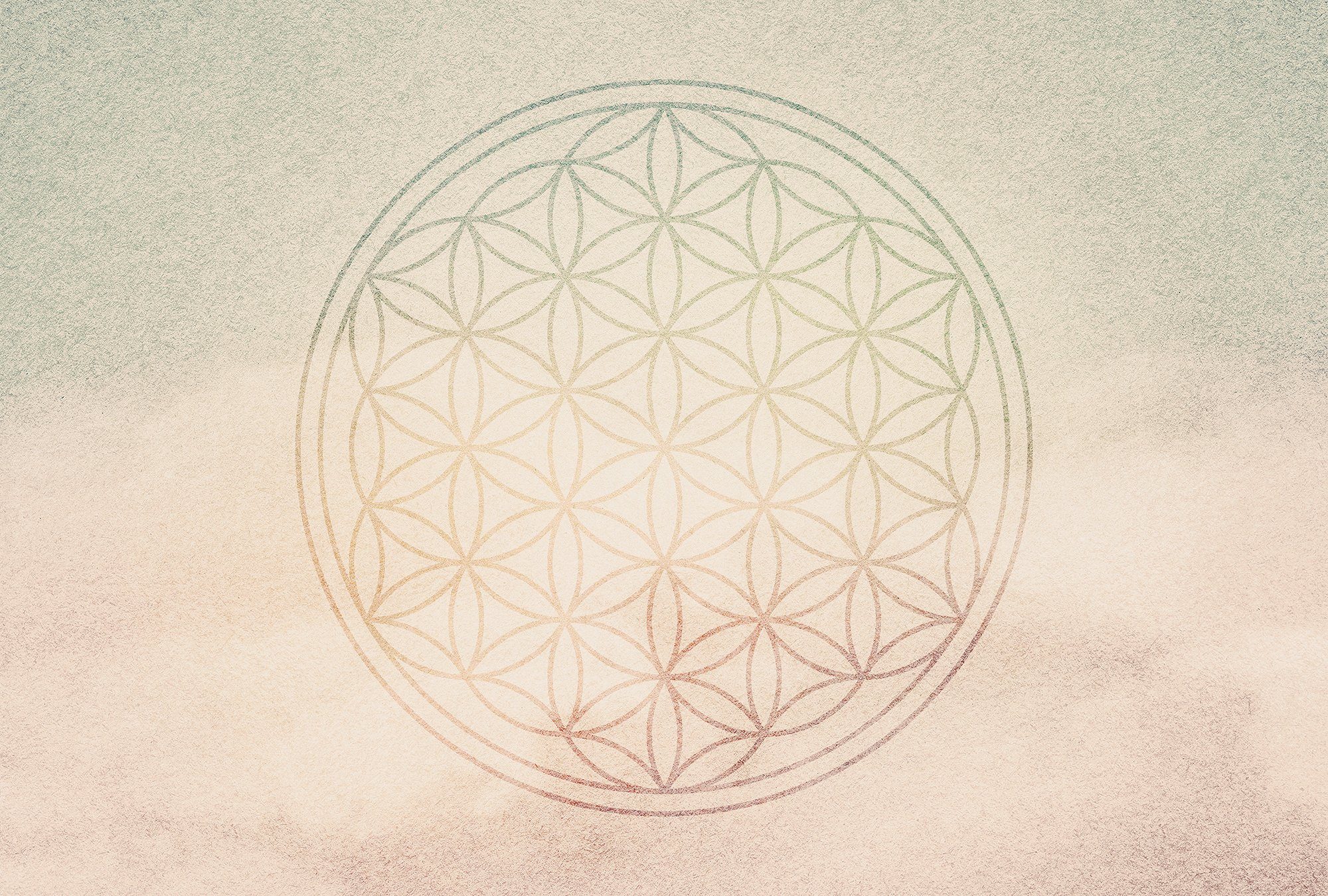 Architects Paper Fototapete Atelier 47 Flower of Life 2, glatt, orientalisch, (4 St), Vlies, Wand, Schräge, Decke