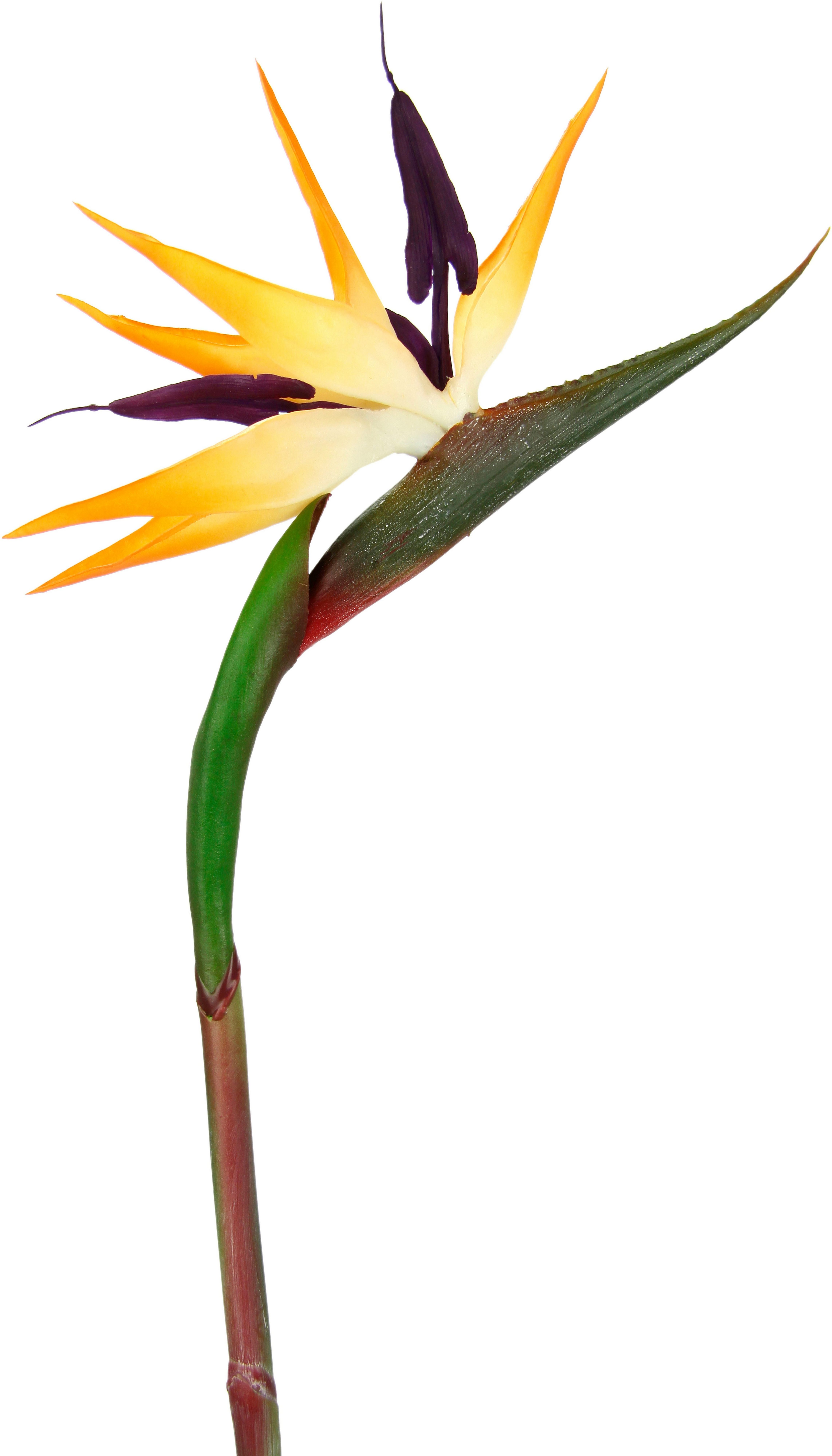 Kunstblume Künstliche Blume Strelitzie Paradiesvogelblume Exotischer günstig online kaufen