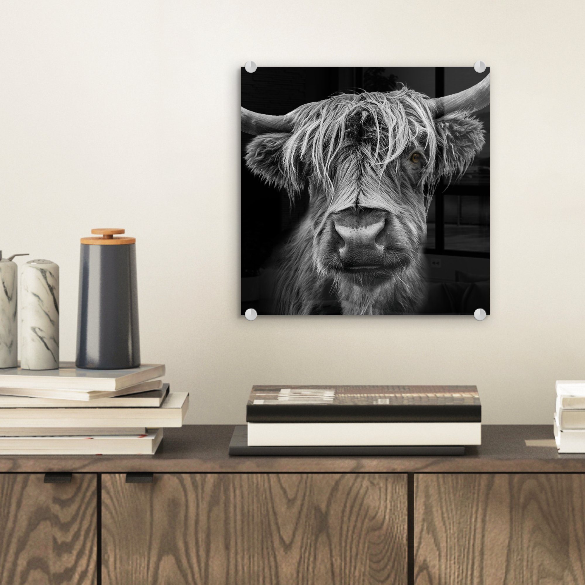 MuchoWow Acrylglasbild Schottischer Highlander - Hörner günstig online kaufen