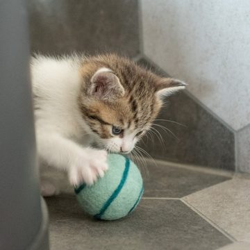 naturling Katzenangel Katzenspielzeug Set aus 100% Filzwolle handgemacht (3 Stück), für Katze und Hund