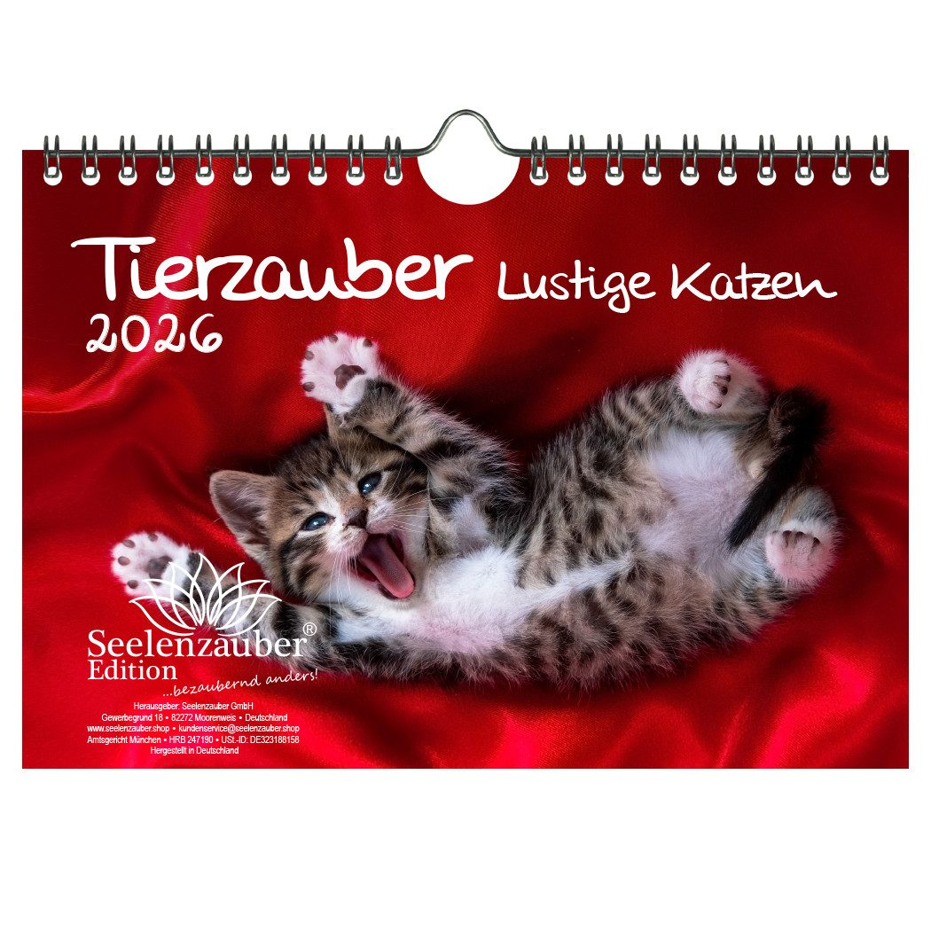 Seelenzauber Настінний календар Tierzauber lustige Katzen DIN A5 Календарі für 2026 Lustige Katzen