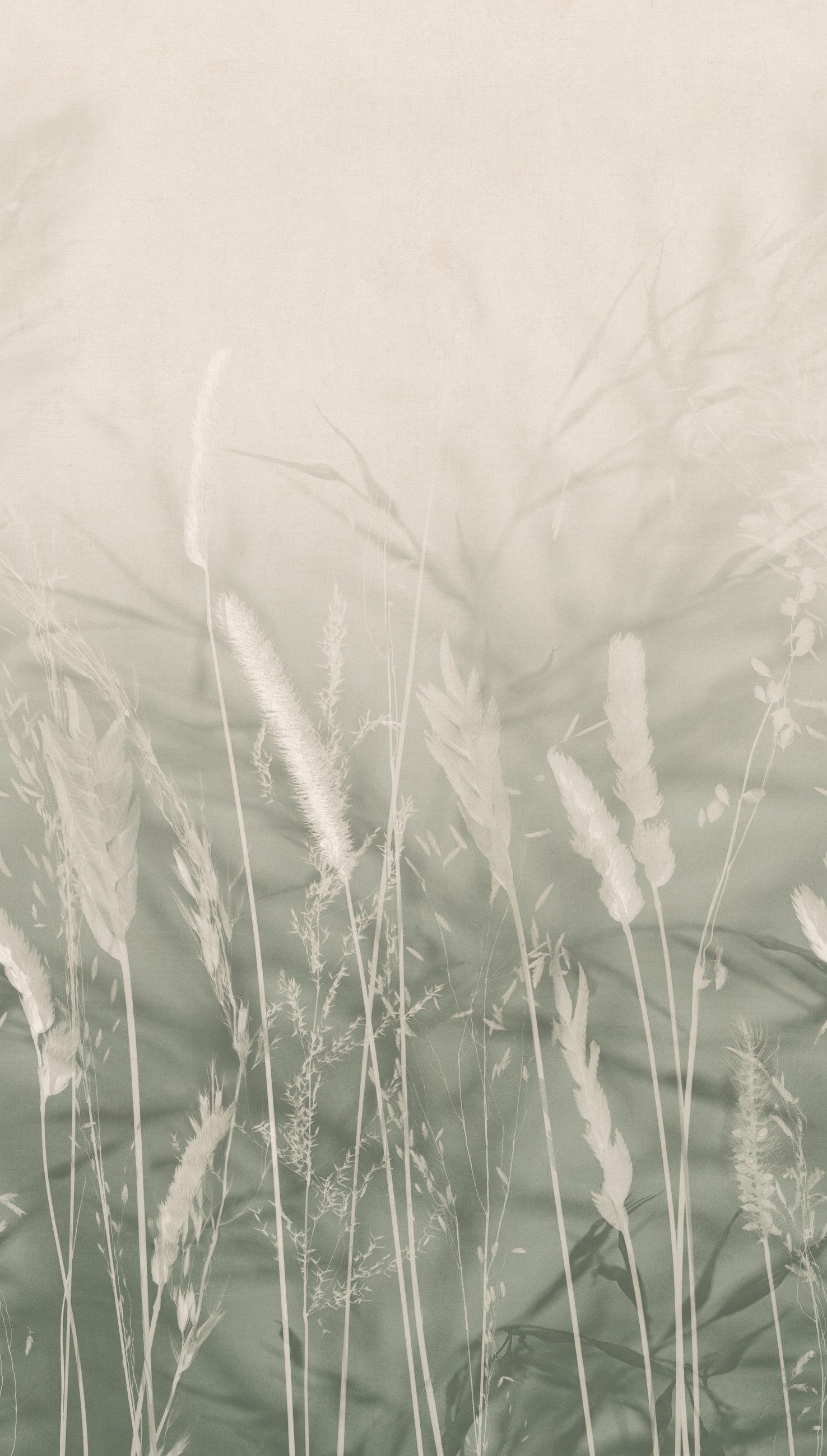 Rasch Fototapete SCHÖNER WOHNEN-Kollektion Fototapete WHISPERING MEADOW 360134, strukturiert, natürlich, naturalistisch, botanisch, (1 Rolle, 1 St)