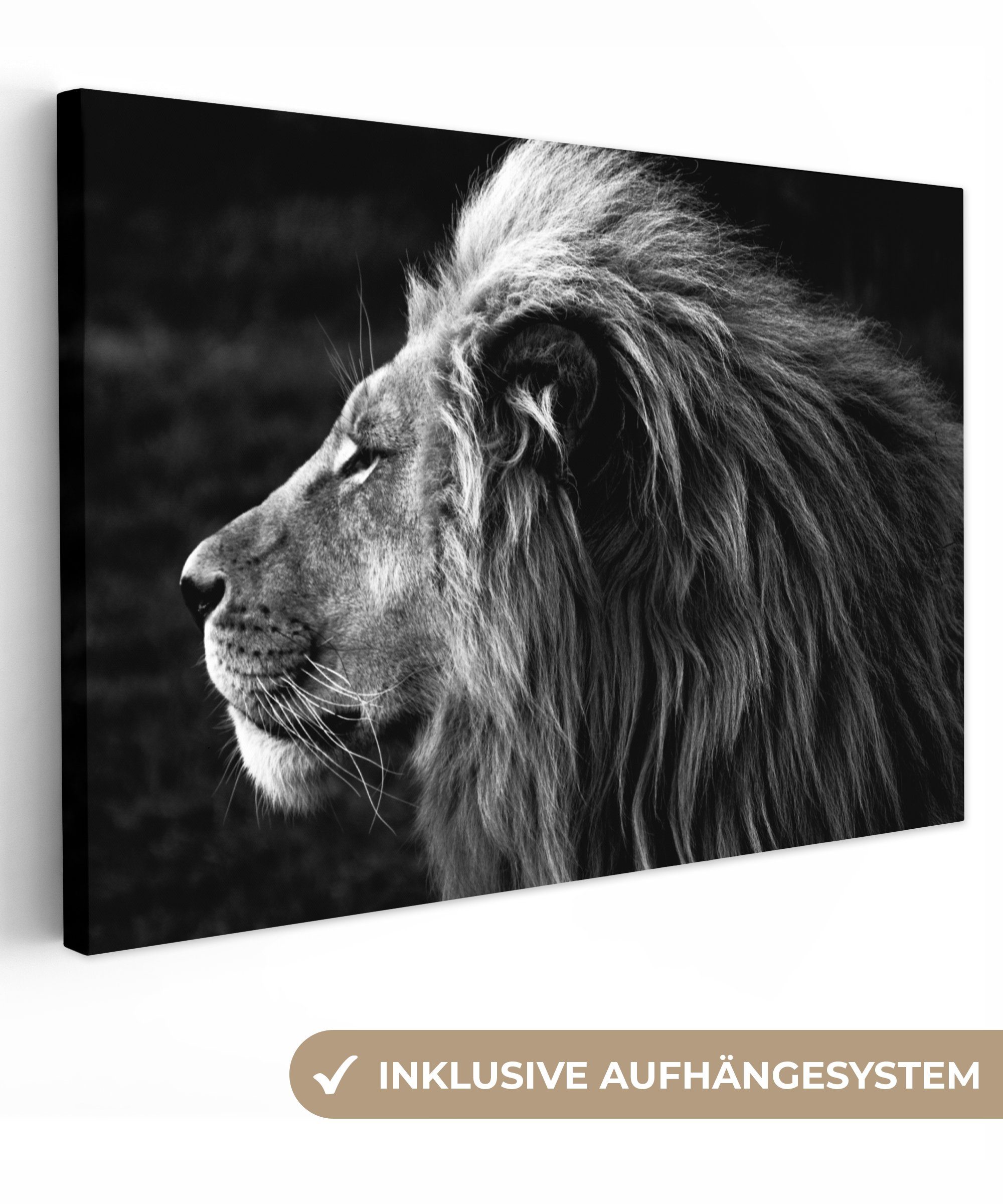 OneMillionCanvasses® Leinwandbild Tiere - Schwarz - Weiß - Profil, Fotodruc günstig online kaufen
