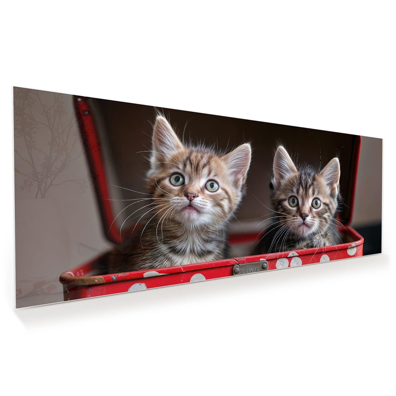 Primedeco Glasbild Wandbild Katzen im Koffer mit Aufhängung, Tierwelt (21 verschiedene Größen, 1 St), Elegante Aufhängung