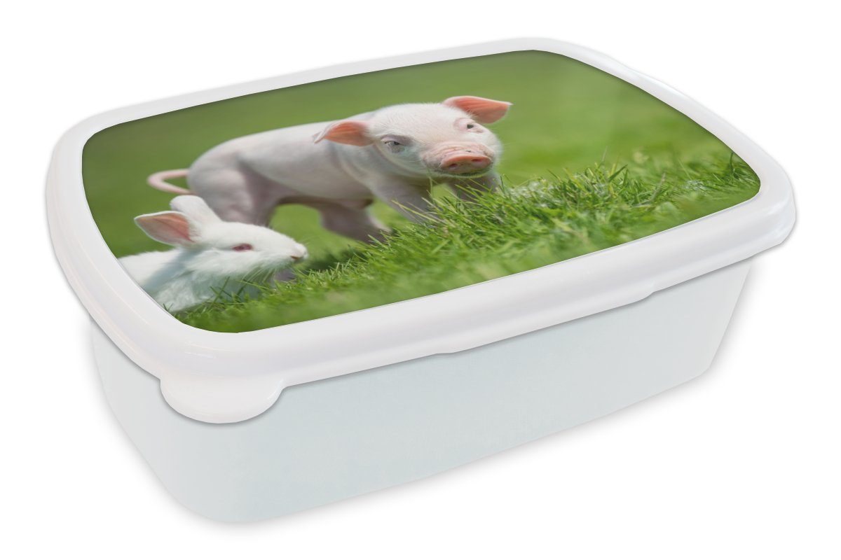 MuchoWow Lunchbox Ferkel - Kinder Mädchen für weiß Brotbox für Erwachsene, Jungs Brotdose, - und (2-tlg), und Kaninchen Tiere, Kunststoff