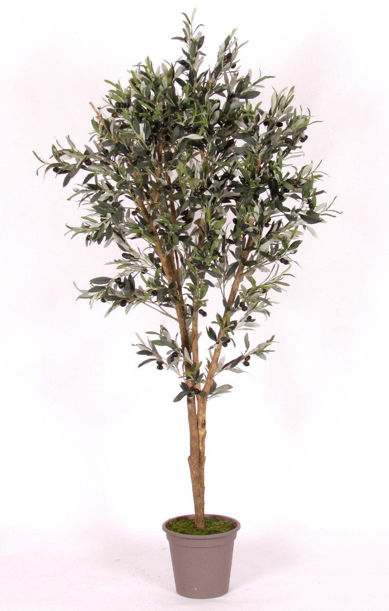 Kunstbaum Deko Olivenbaum Miana, Naturstämme, mit Früchten, 125cm Olivenbaum, artplants, Höhe 125.0 cm