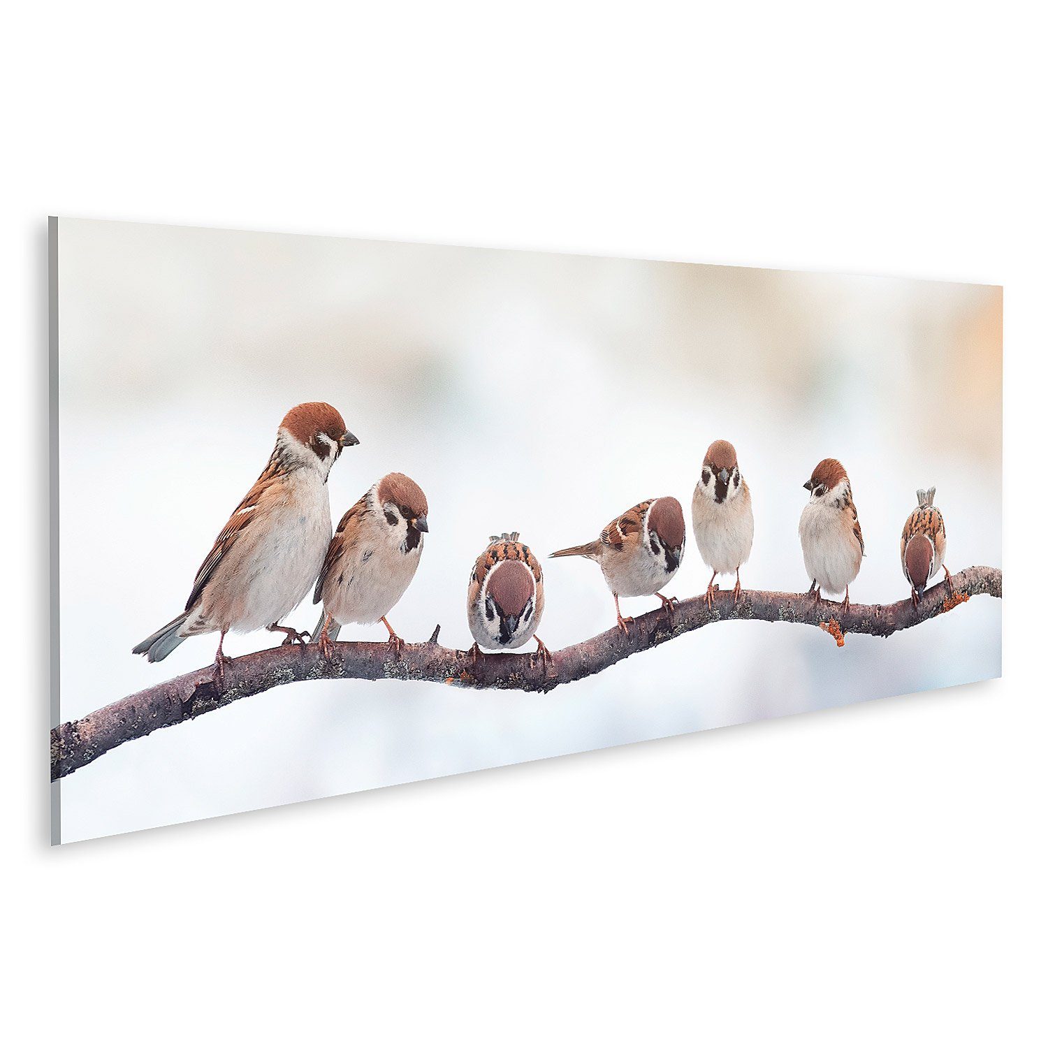 islandburner Leinwandbild Bild auf Leinwand Spatzen auf einem Zweig sitzend günstig online kaufen