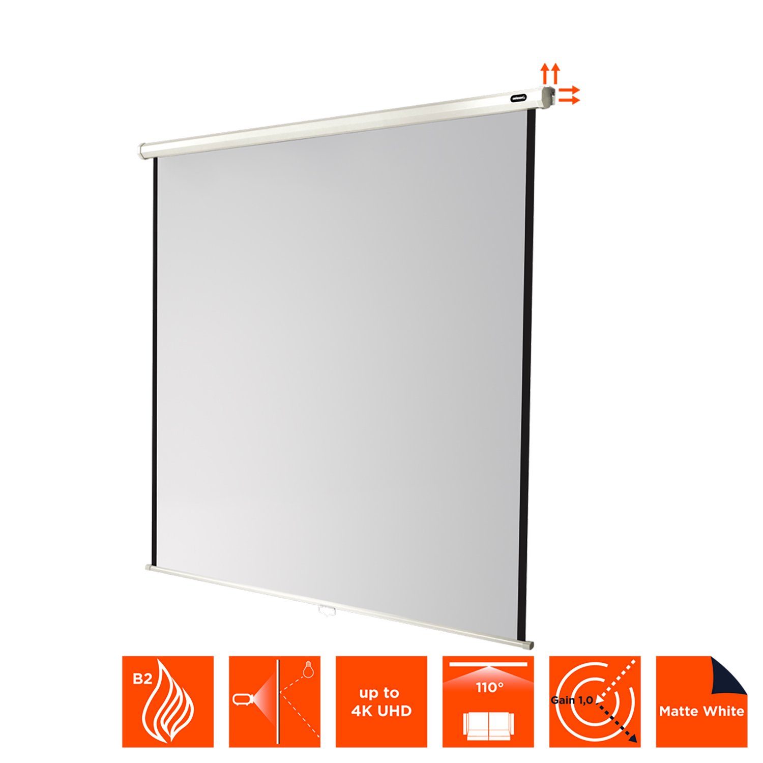 Celexon Economy Rolloleinwand (schwarze Rückseite)