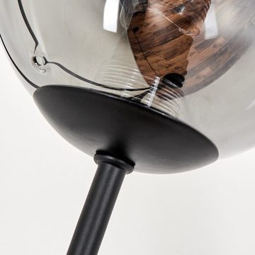 hofstein Stehlampe Stehlampe aus Metall/Glas in Schwarz/Rauchfarben/Klar, ohne Leuchtmittel, Leuchte mit Glasschirmen (10cm), dimmbar, 6xG9, ohne Leuchtmittel