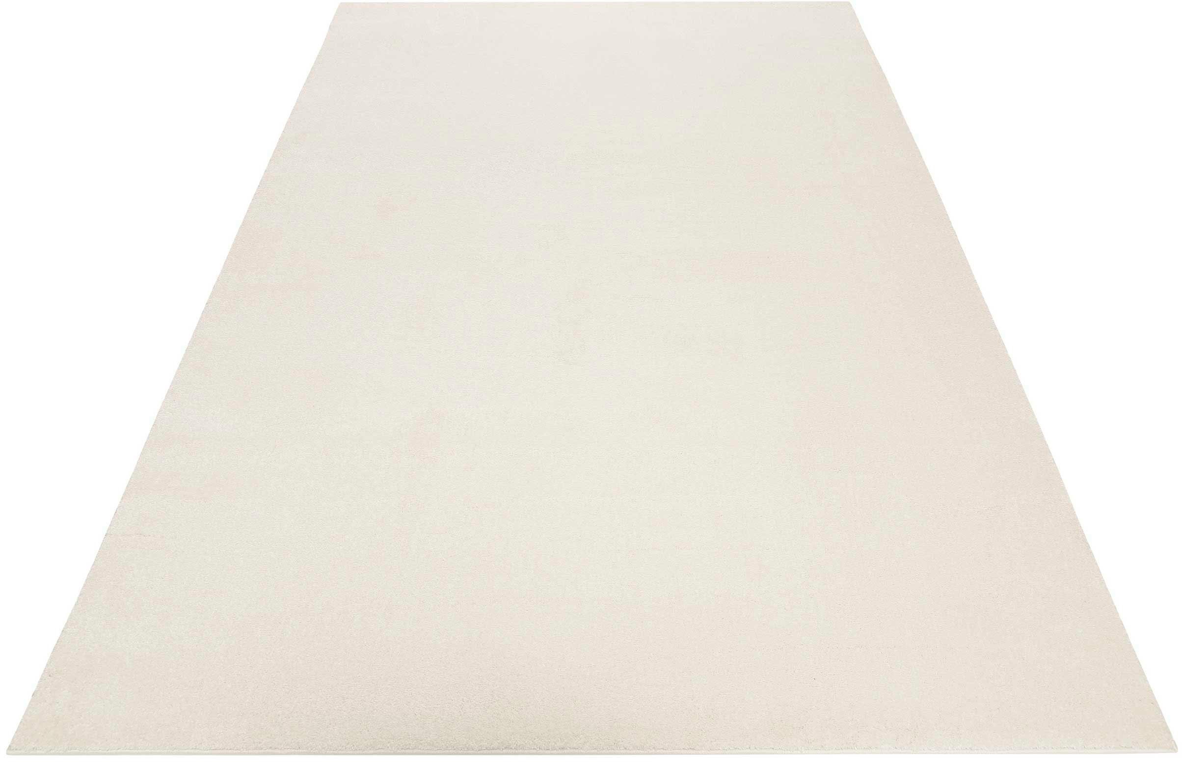 Esprit Teppich Campus ESP-0035, rechteckig, Höhe: 17 mm, sehr flauschiger, dichter Flor, robust, Wohnzimmer, Schlafzimmer, uni