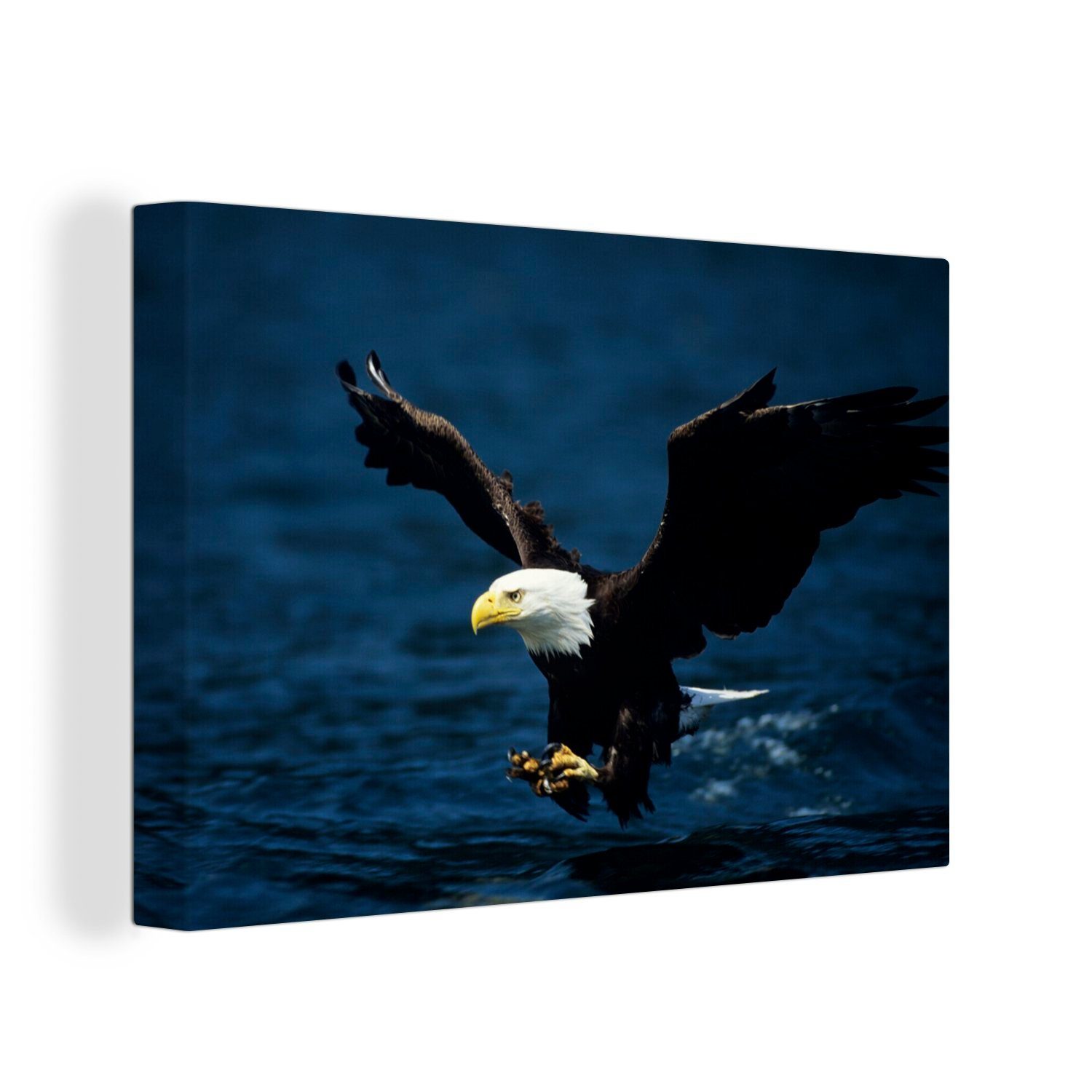 OneMillionCanvasses® Leinwandbild Adler - Nahaufnahme - Wasser, (1 St), Wandbild Leinwandbilder, Aufhängefertig, Wanddeko, 30x20 cm