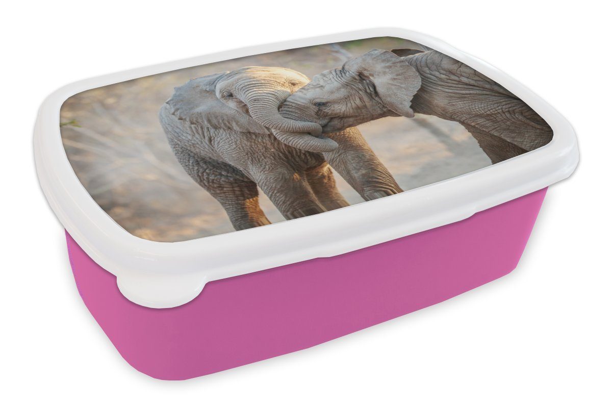 Afrika, Kunststoff, Erwachsene, Lunchbox Snackbox, Mädchen, Kinder, für Kunststoff Brotdose Kuscheltier rosa (2-tlg), Brotbox - Elefanten MuchoWow -