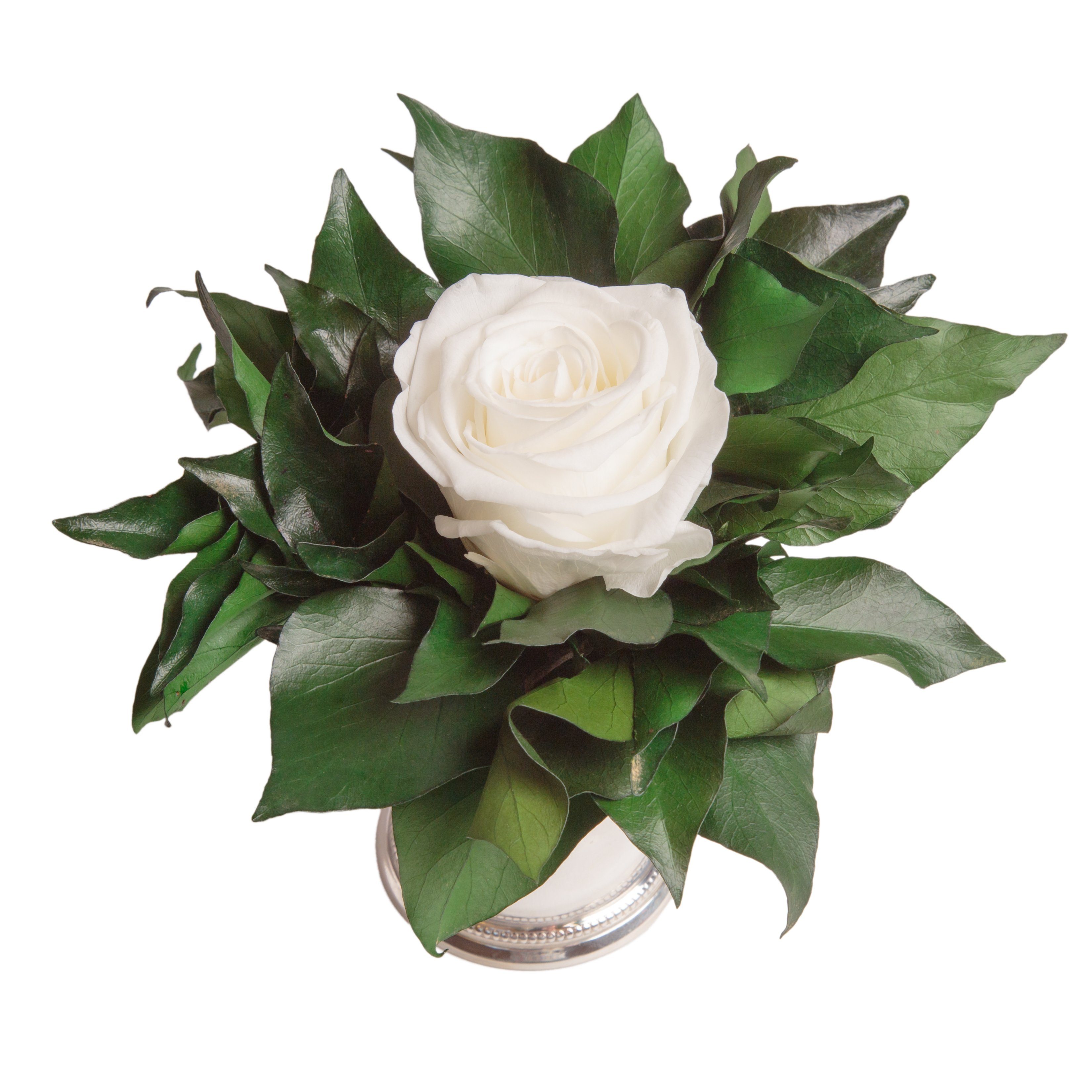 Kunstblumenstrauß Blumengesteck 1 Infinity Rose Becher silberfarben Geschenk für Frauen Rose, ROSEMARIE SCHULZ Heidelberg, Höhe 12 cm, Echte Rose lange haltbar, Made in Germany