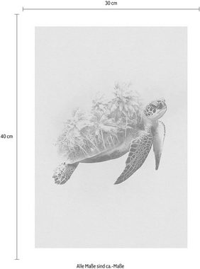 Komar Poster Animals Paradise Turtle, Tiere (1 St), Kinderzimmer, Schlafzimmer, Wohnzimmer