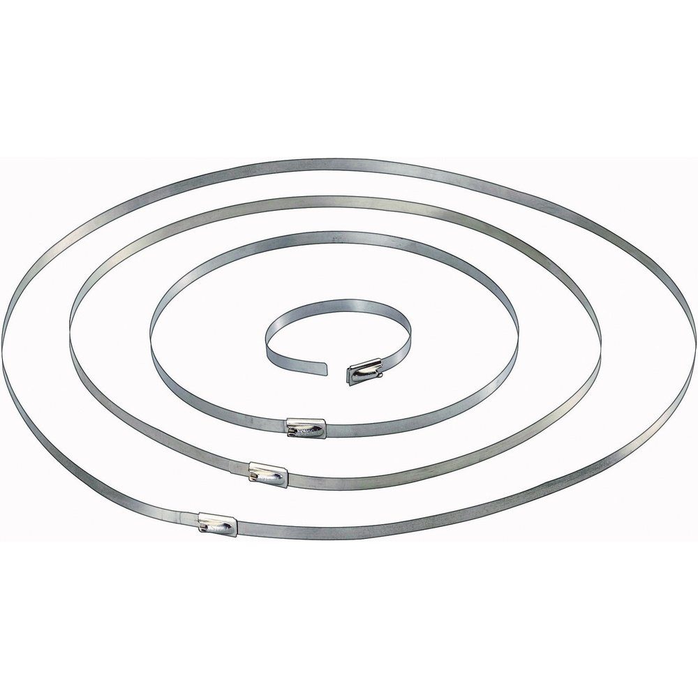 TRU COMPONENTS Kabelbinder TRU COMPONENTS 1570838 Kabelbinder 201 mm 4.60 mm Silber 10 St. (1570838)
