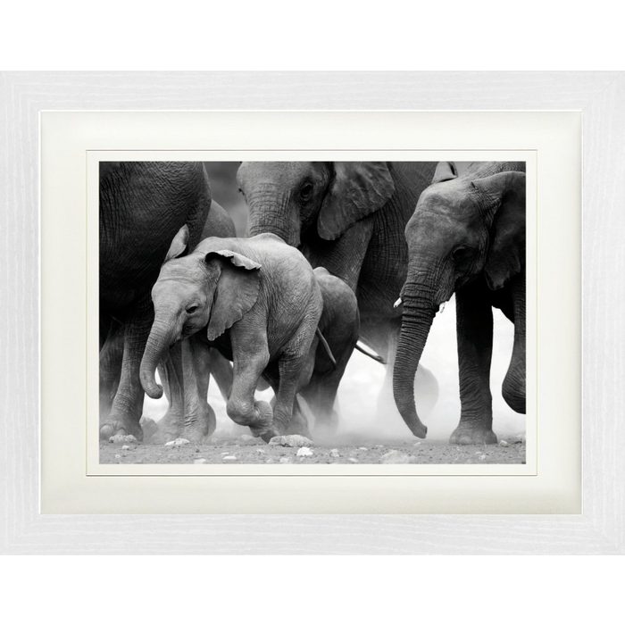 1art1 Bild mit Rahmen Elefanten - Elefantenherde Namibia S/W