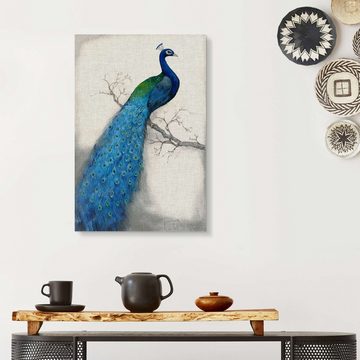 Posterlounge Forex-Bild Tim O'Toole, Blauer Pfau I, Wohnzimmer Orientalisches Flair Malerei