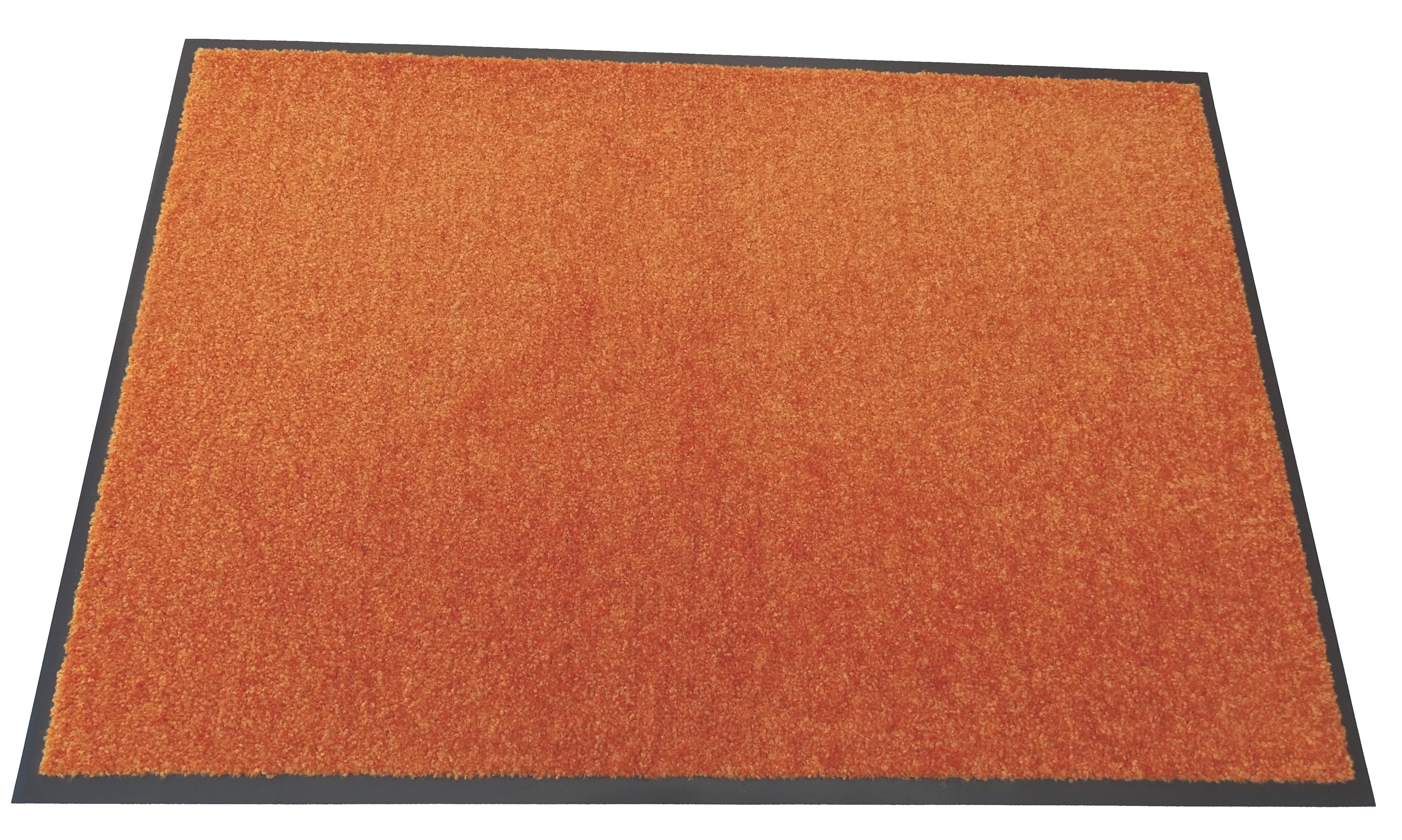 Mertex Fußmatte Kiel, Schmutzfangmatte rundum verlaufender Rand günstig online kaufen