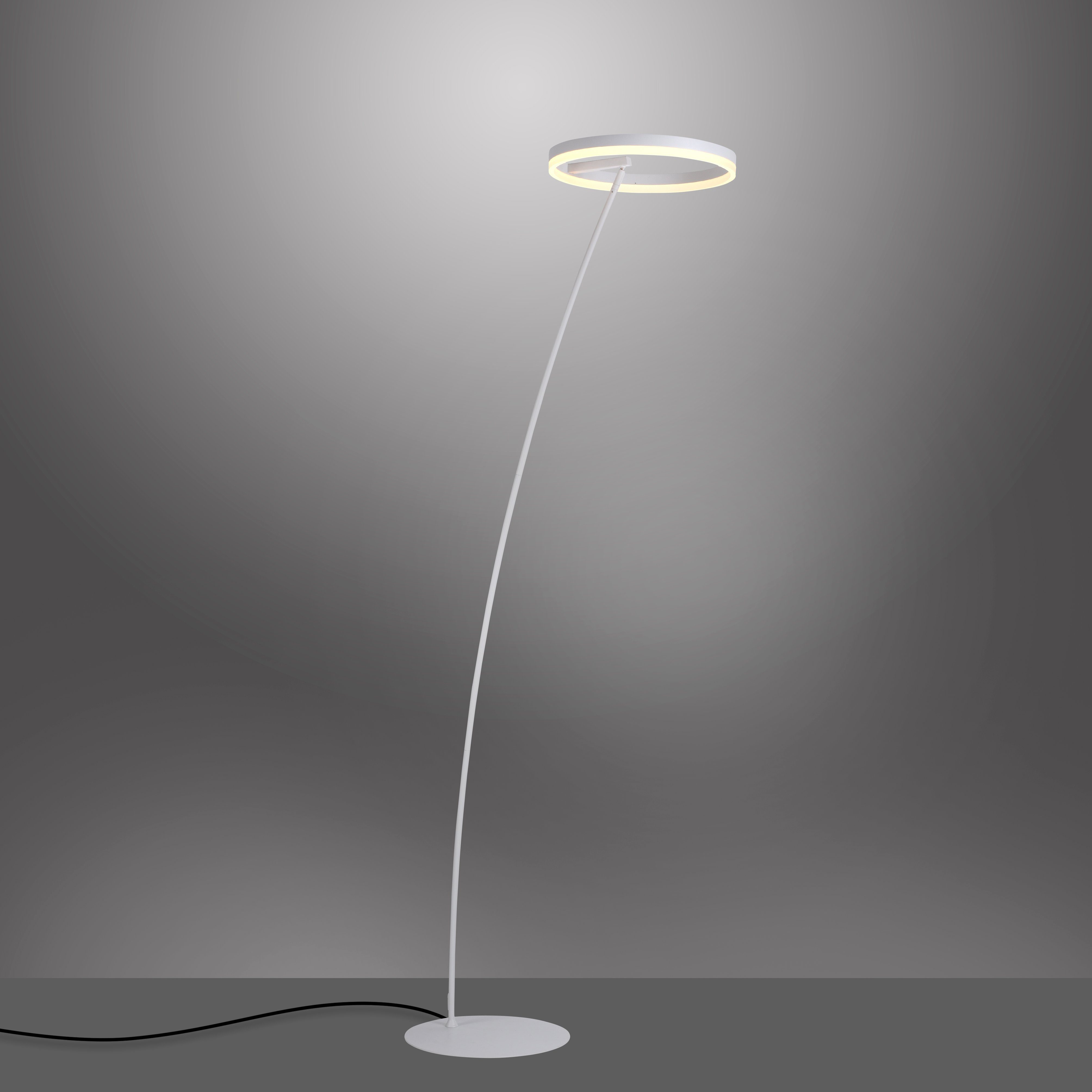 Paul Neuhaus Stehlampe TITUS, LED fest integriert, Warmweiß, LED, dimmbar  über Schnurdimmer, Warmweiße Lichtfarbe, gemütliches Ambiente