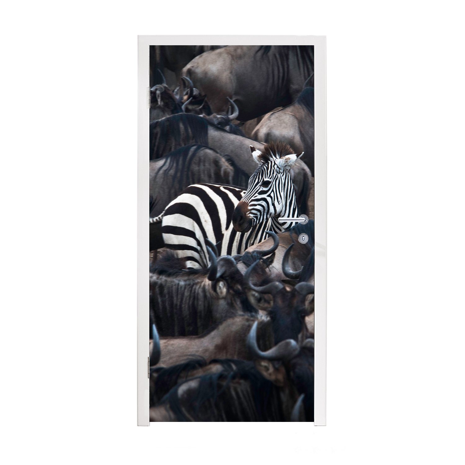 MuchoWow Türtapete Zebra - Büffel - Braun, Matt, bedruckt, (1 St), Fototapete für Tür, Türaufkleber, 75x205 cm