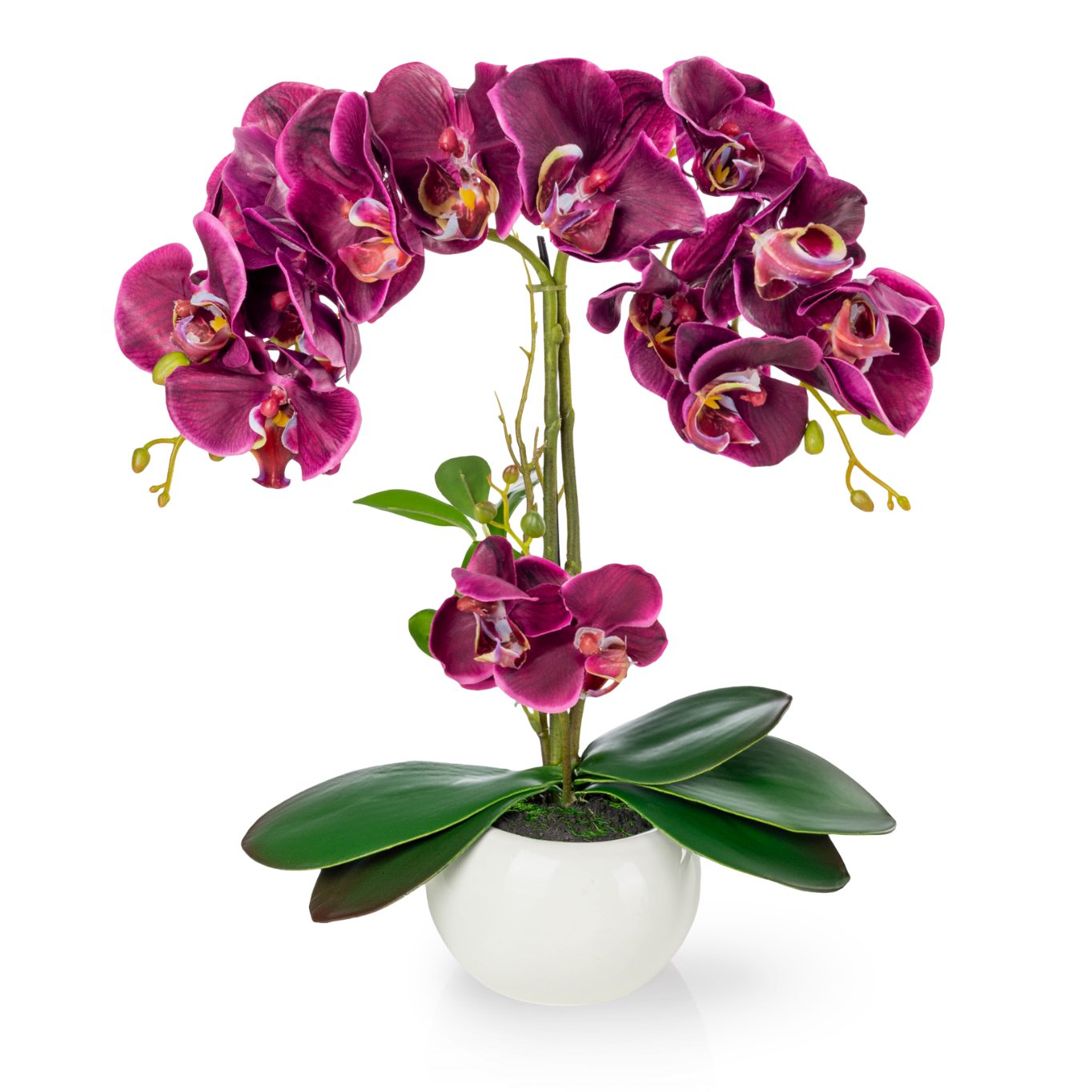 Kunstorchidee PASCH® Orchidee künstlich wie echt günstig online kaufen