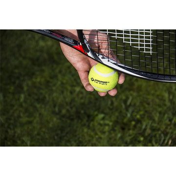 Schildkröt Tennisball Tennisball 3er Set Gelb