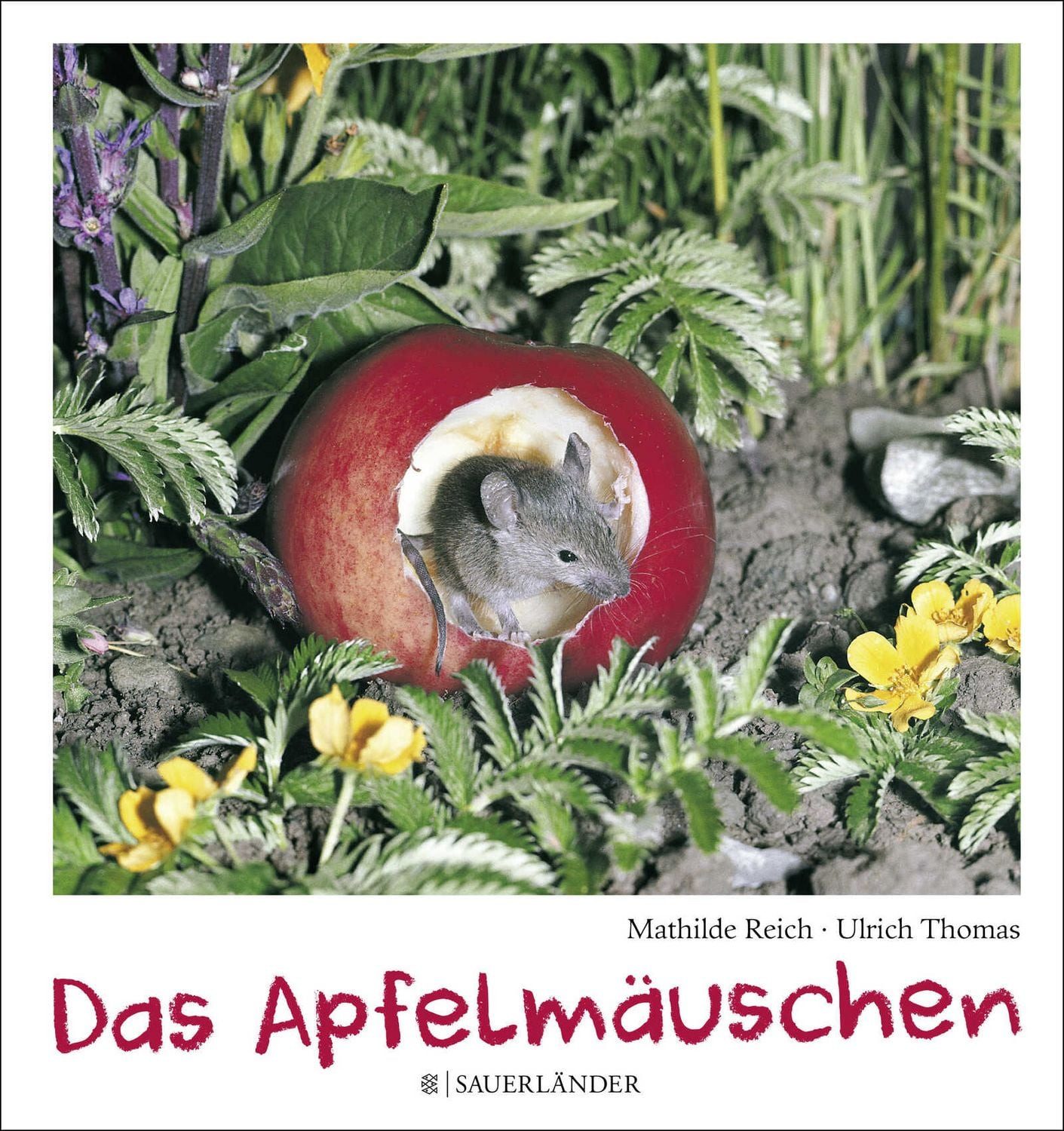 Das Apfelmäuschen (Mini-Ausgabe) / Mathilde Reich, Ulrich Thomas, X