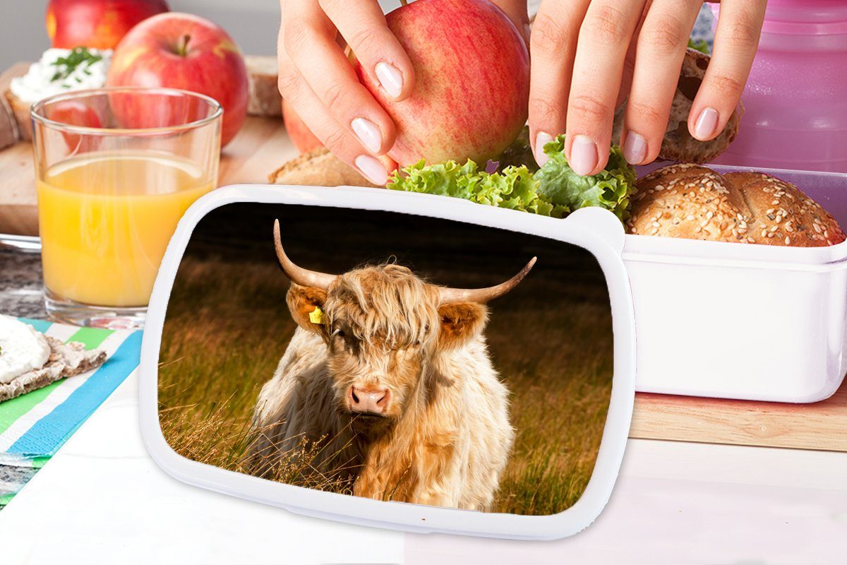 Mädchen Highlander Gras - MuchoWow - Jungs für Licht Lunchbox Brotdose, (2-tlg), Brotbox für Schottische und - Kunststoff, weiß und Tiere, Kinder Erwachsene,