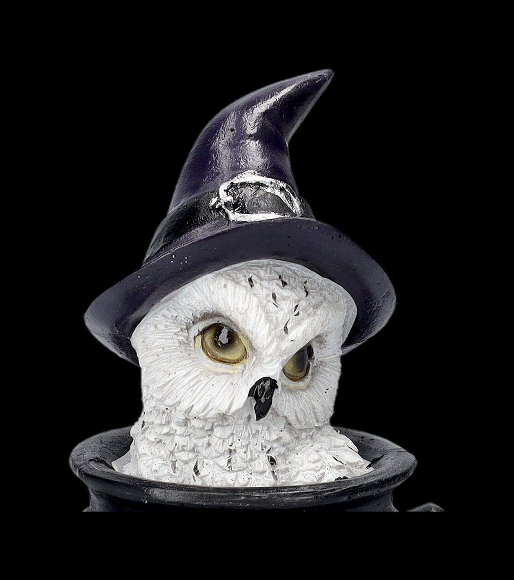 Figuren Shop Tierfigur - GmbH Eulenfigur Owl's Tierdeko im Dekoration Hexenkessel Fantasy - Brew