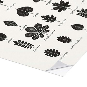 Posterlounge Wandfolie Iris Luckhaus, Heimische Baumblätter, Klassenzimmer Skandinavisch Grafikdesign