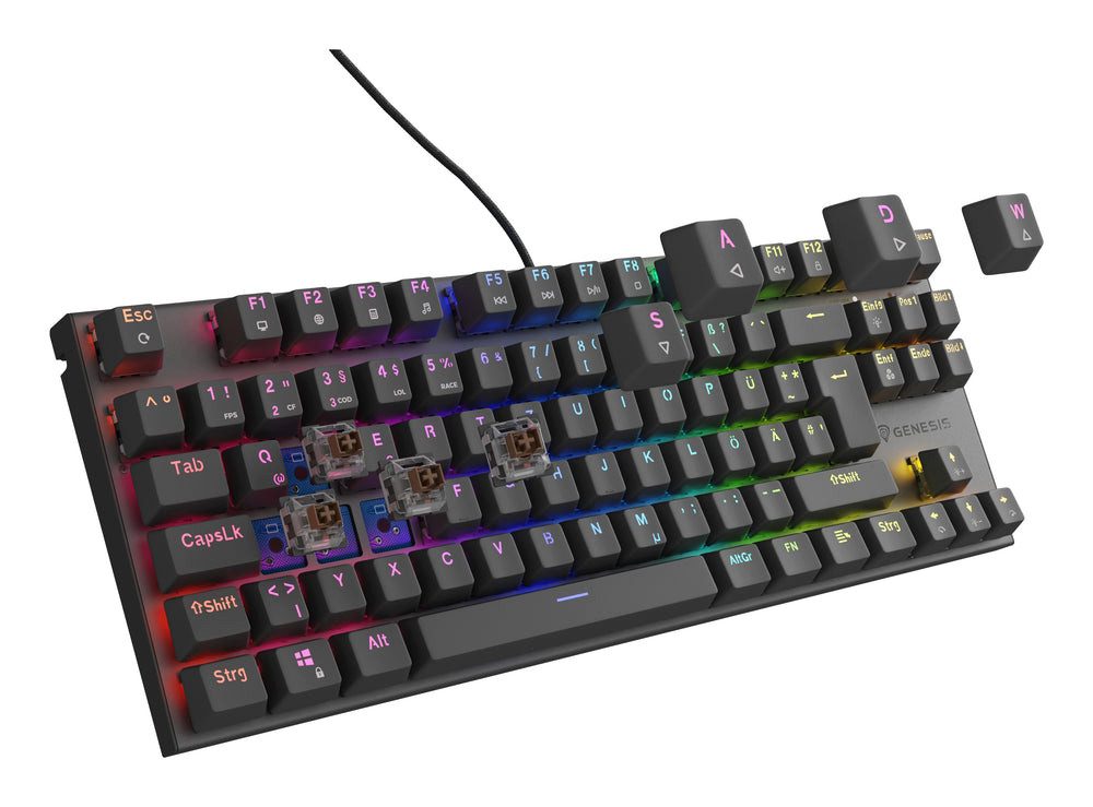 Natec PC-Tastatur