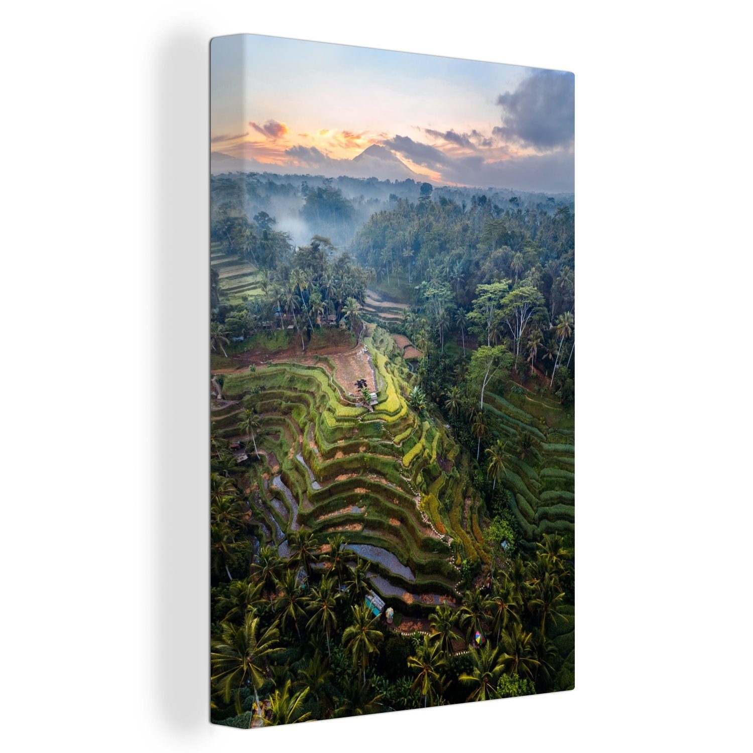 OneMillionCanvasses® Leinwandbild Reisterrassen zwischen den Bäumen in Indonesien, (1 St), Leinwandbild fertig bespannt inkl. Zackenaufhänger, Gemälde, 20x30 cm | Leinwandbilder