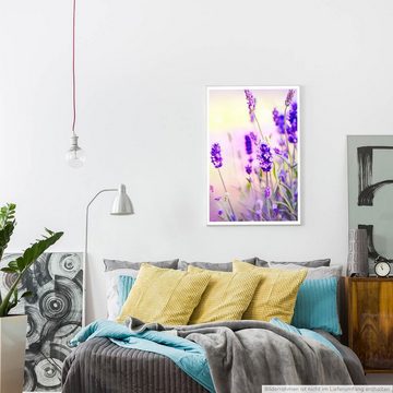 Sinus Art Poster 60x90cm Naturfotografie Poster Wunderschöner Lavendel Bilder für zu Hause