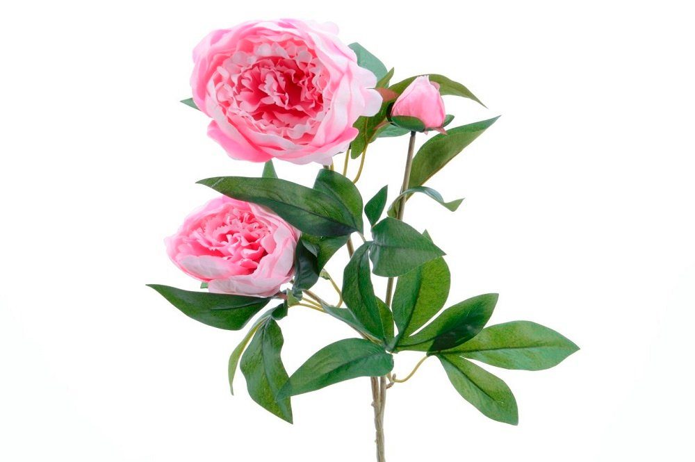 Kunstblume Seiden-Pfingstrose 3blütig hellrosa, Kaemingk günstig online kaufen
