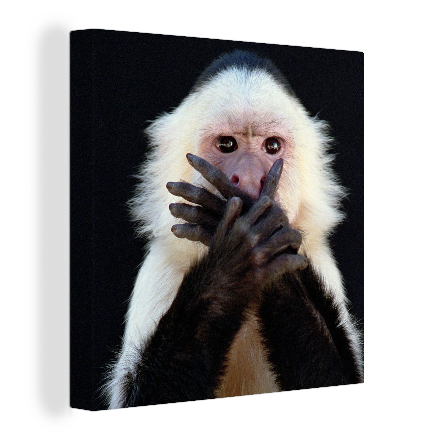 OneMillionCanvasses® Leinwandbild Affe - Wilde Tiere - Porträt, (1 St), Leinwand Bilder für Wohnzimmer Schlafzimmer