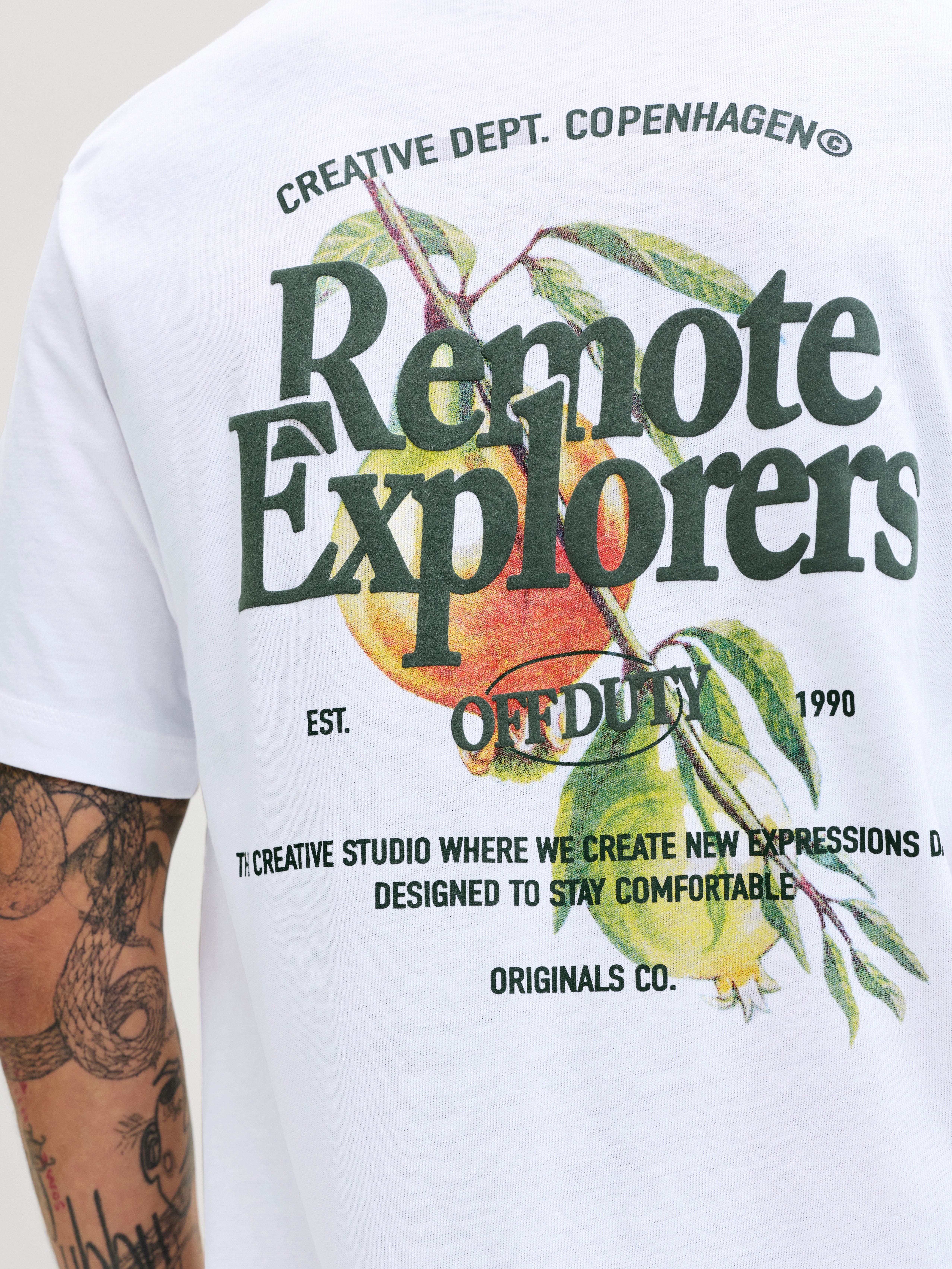 Jack & Jones T-Shirt JORMONTAUK MULTICOLOR GRAPHIC TEE CN – Bild 3 von 5