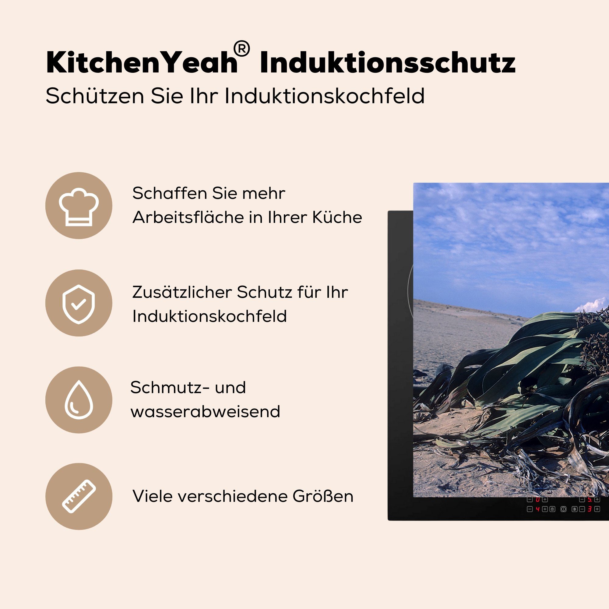 MuchoWow Herdblende-/Abdeckplatte Die seltene tlg), für Welwitschia Wolkenfeld, Mirabilis cm, küche, Vinyl, schönen einem Ceranfeldabdeckung die Induktionskochfeld (1 unter Schutz 81x52